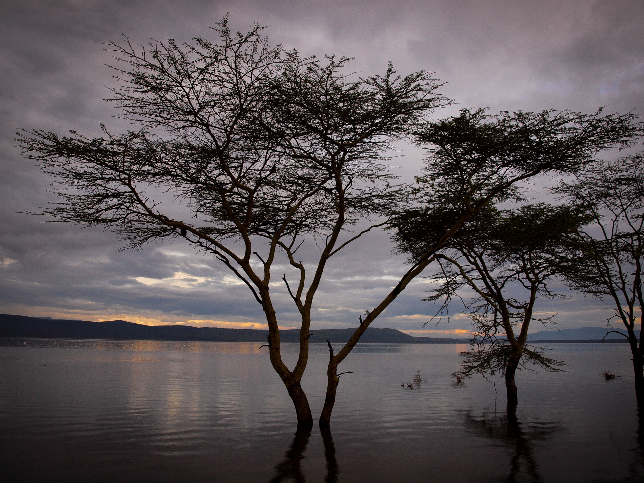 Olympus E-620 (EVOLT E-620) + OLYMPUS 14-42mm Lens sample photo. Out of africa photography