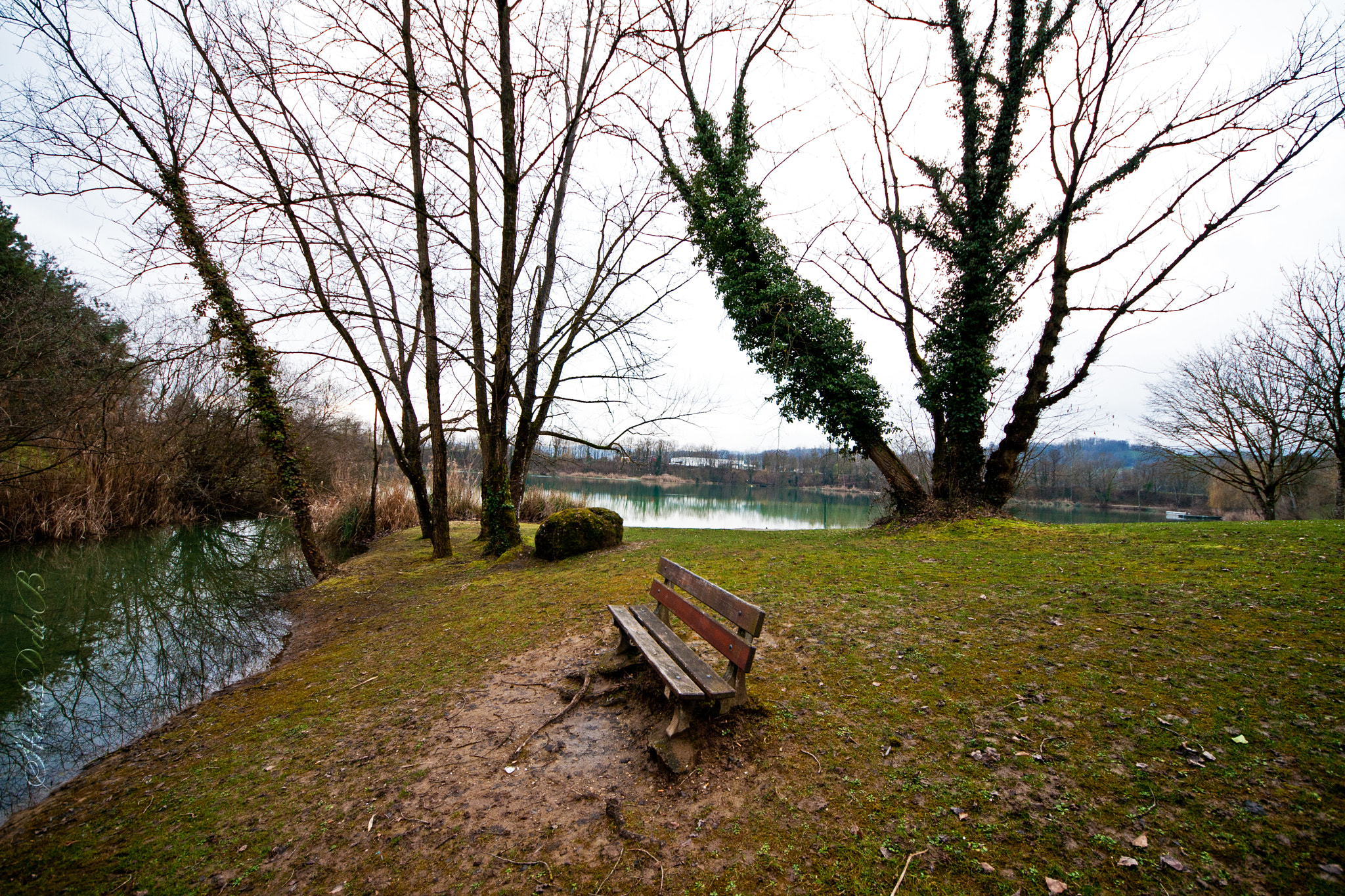 Sigma 8-16mm F4.5-5.6 DC HSM sample photo. Up dreams photography