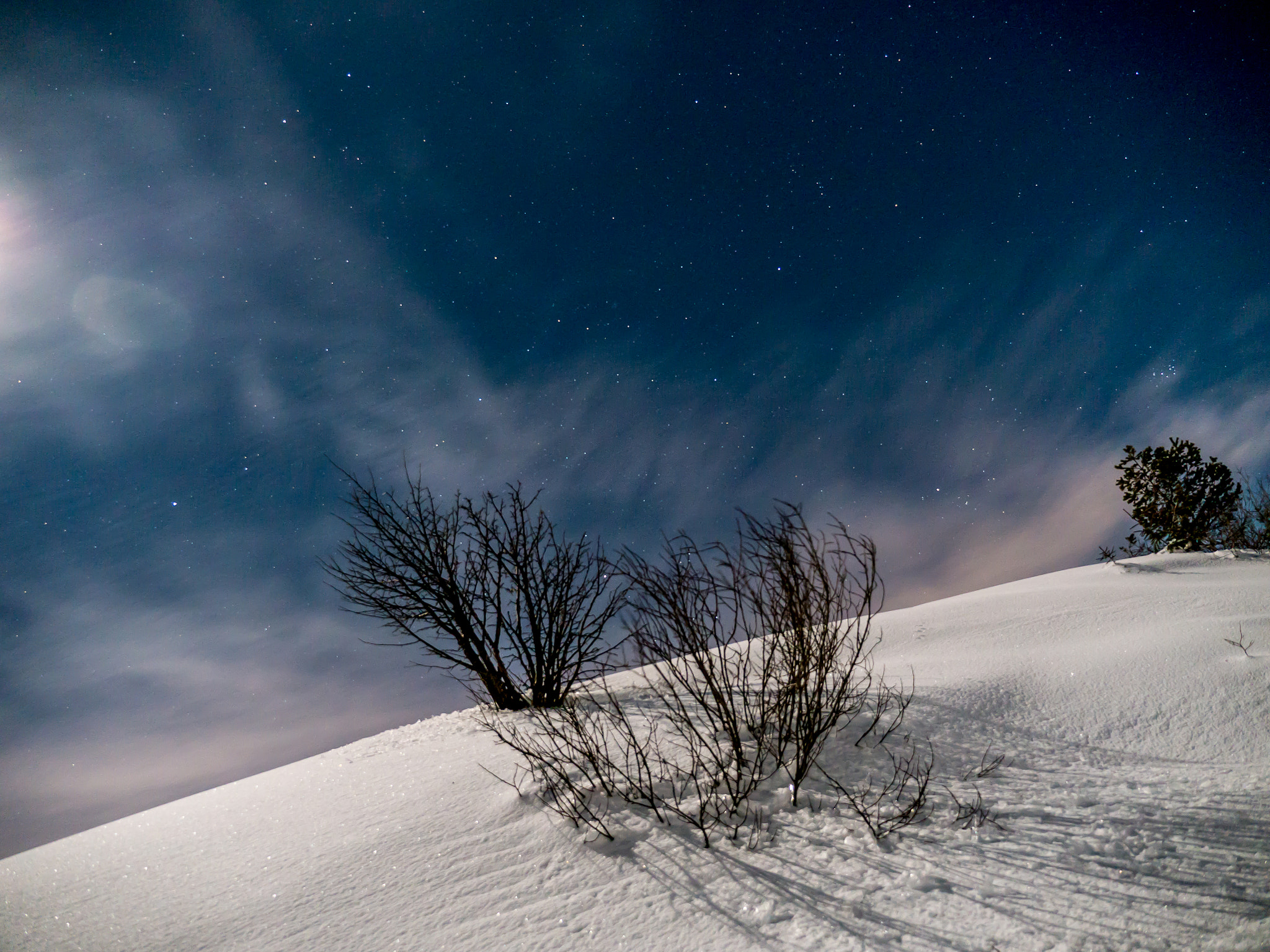 Panasonic Lumix DMC-G5 sample photo. Moonlight winter walk photography