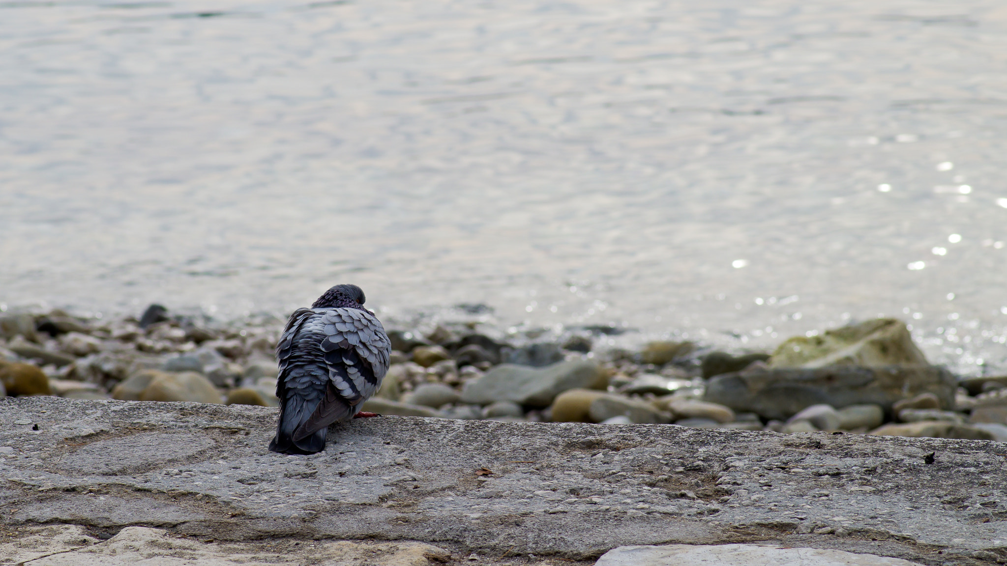 Pentax K-01 sample photo. Absolutely ordinary photography