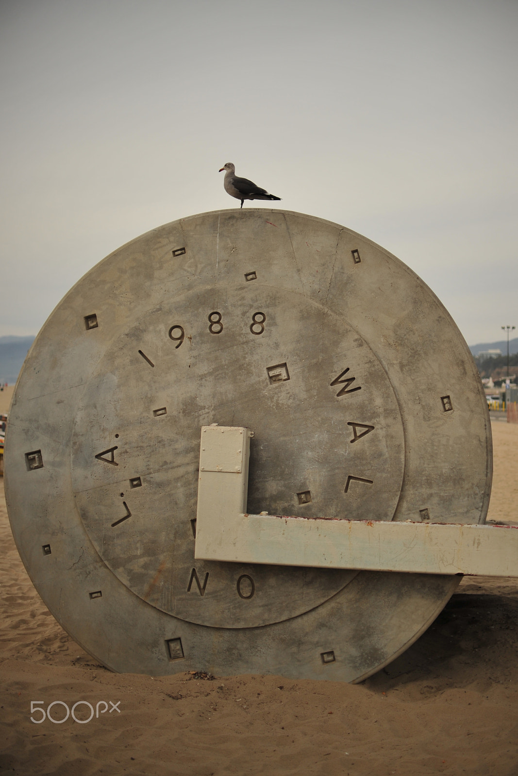 Nikon D3S + Nikon AF-S DX Nikkor 35mm F1.8G sample photo. Bird on beach wheel photography