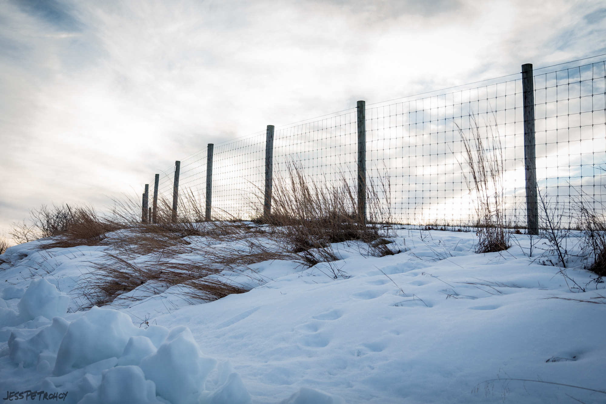 Canon EOS 650D (EOS Rebel T4i / EOS Kiss X6i) sample photo. Winter wisp photography