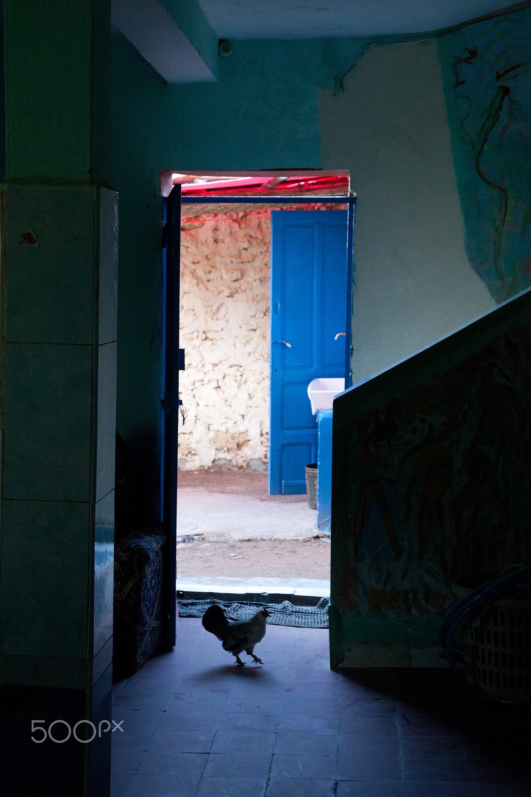 Sigma 24-60mm f/2.8 EX DG sample photo. The exploring hen photography