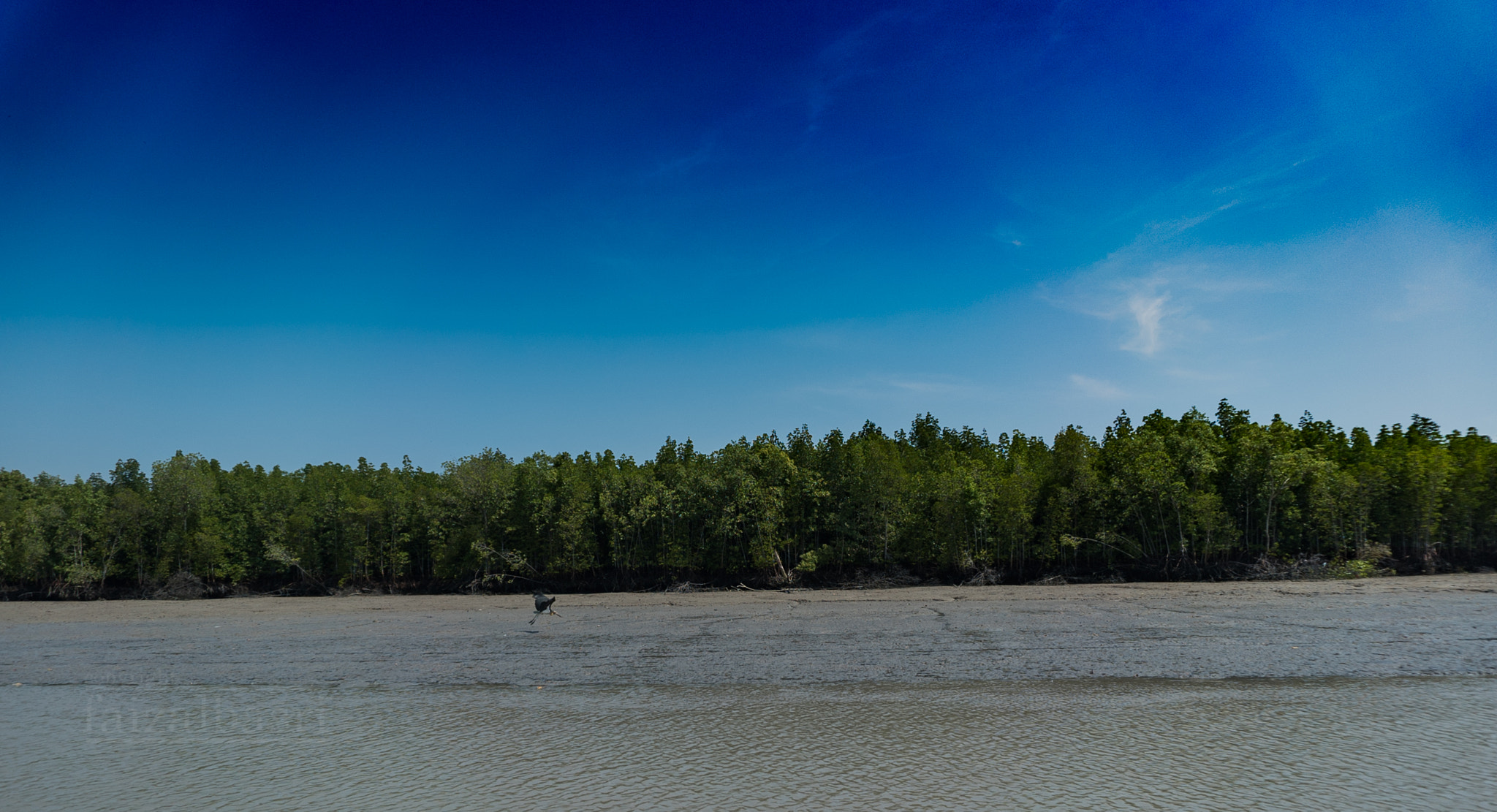 Sony a7S II sample photo. The yearly climate decides in the talented background. photography