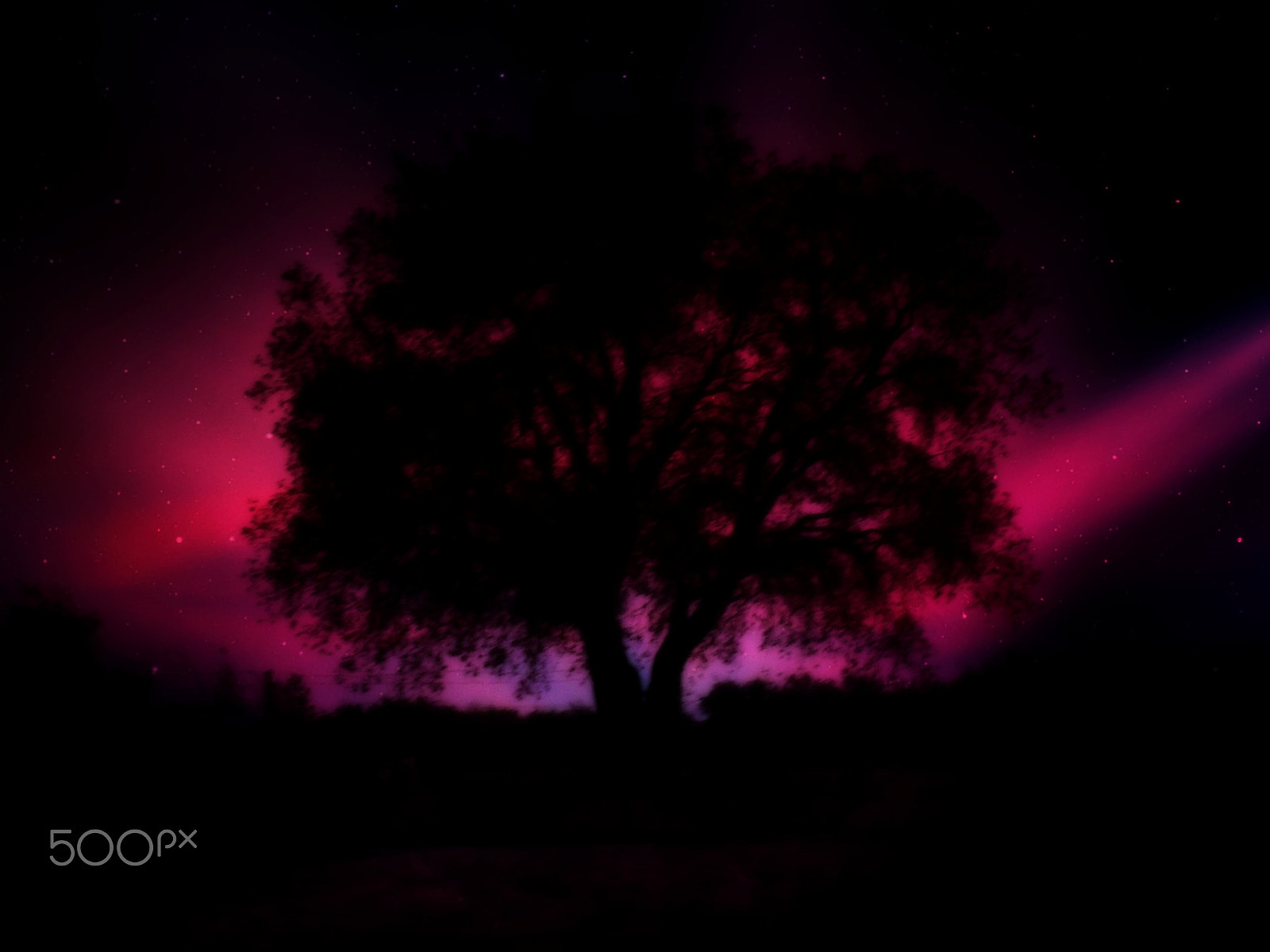 GENERAL IMAGING CO. X400 sample photo. Only the lonely photography