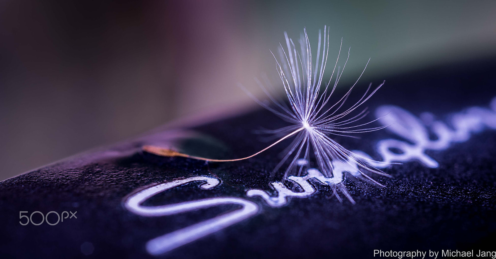 Nikon D810 + Nikon AF Micro-Nikkor 60mm F2.8D sample photo. Woops ! mislanding photography