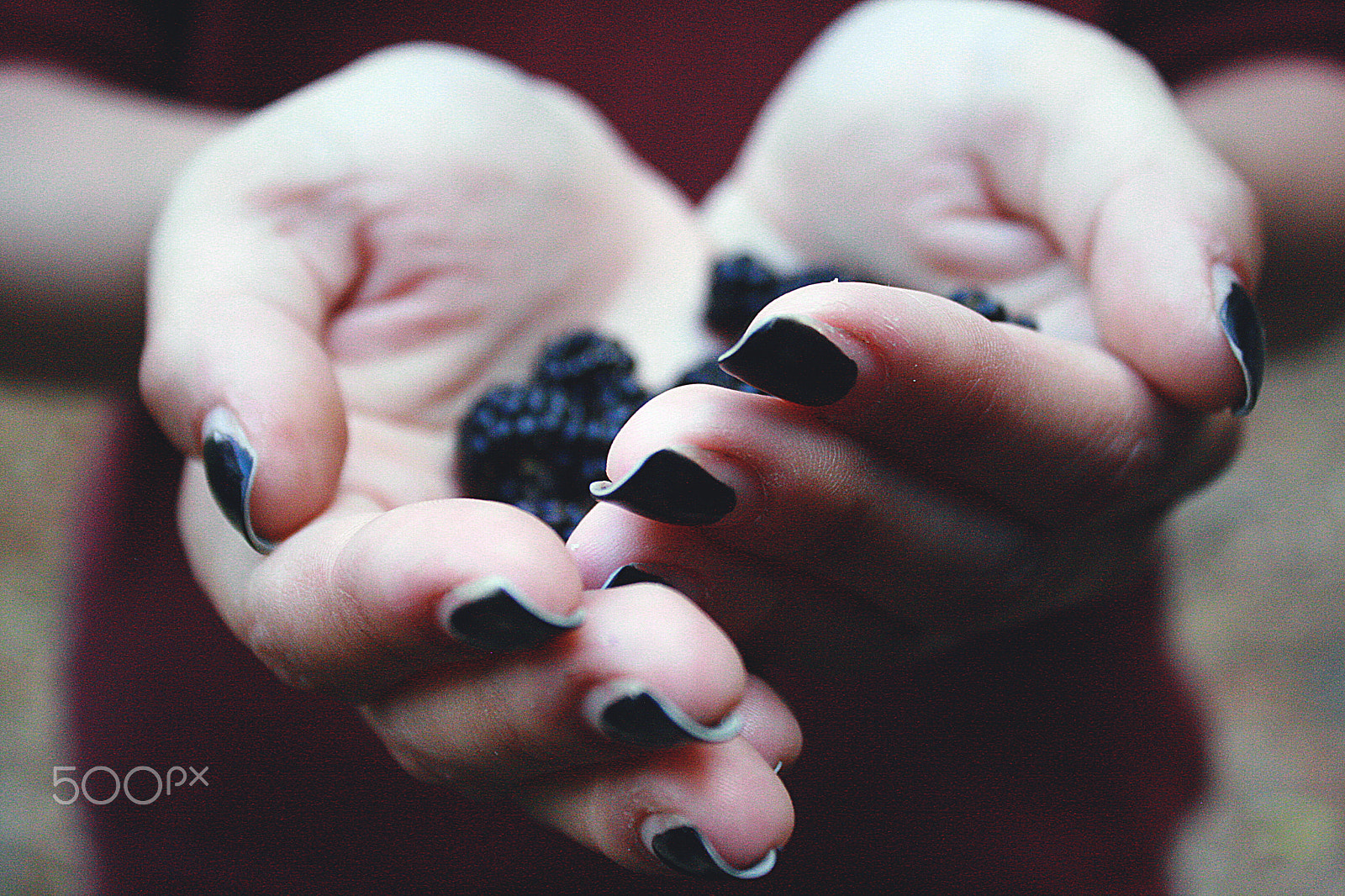 Canon EOS 400D (EOS Digital Rebel XTi / EOS Kiss Digital X) sample photo. Blackberries in your hands photography