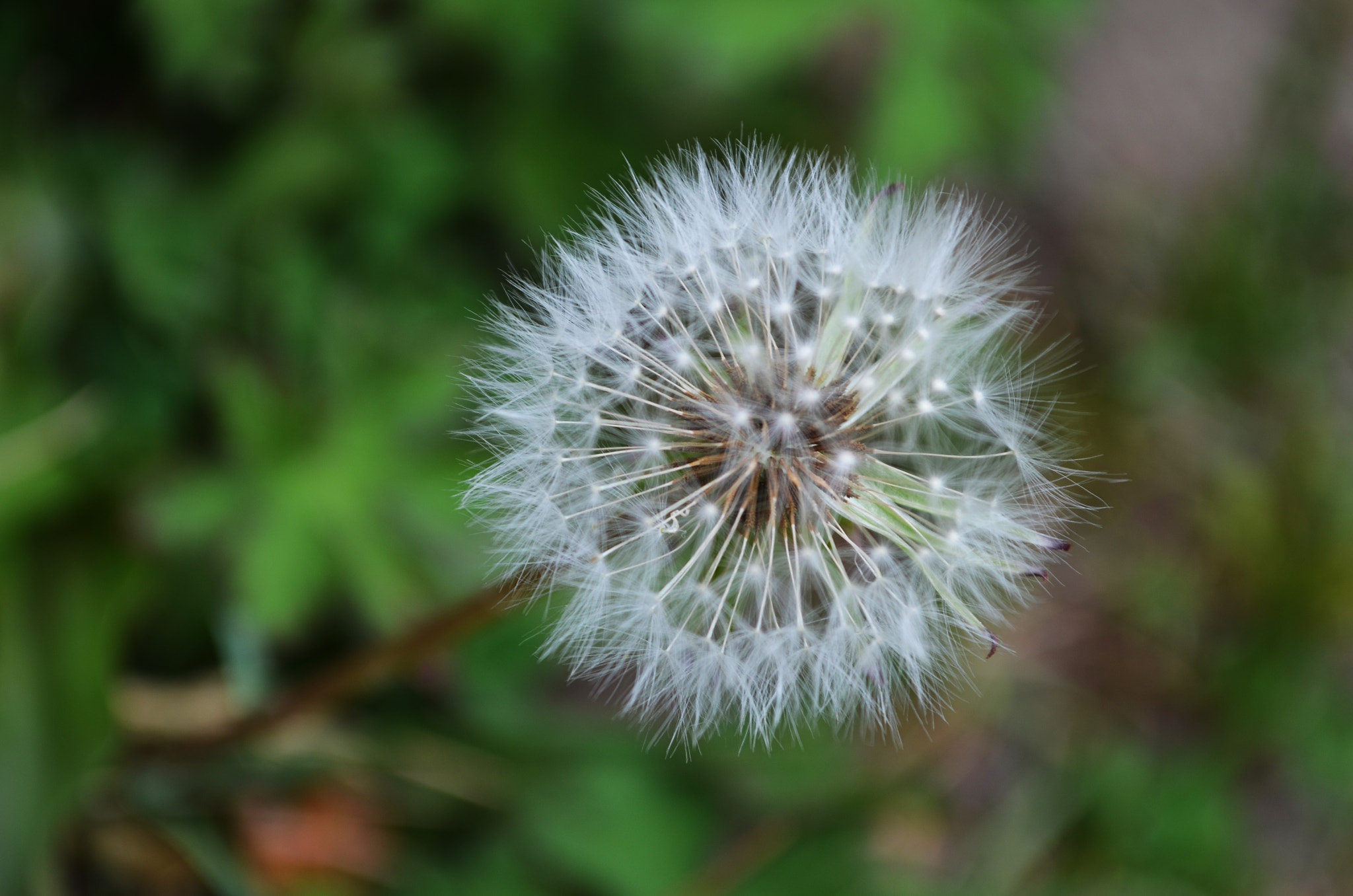 Nikon D5100 + AF Nikkor 28mm f/2.8 sample photo. Ready to fly photography