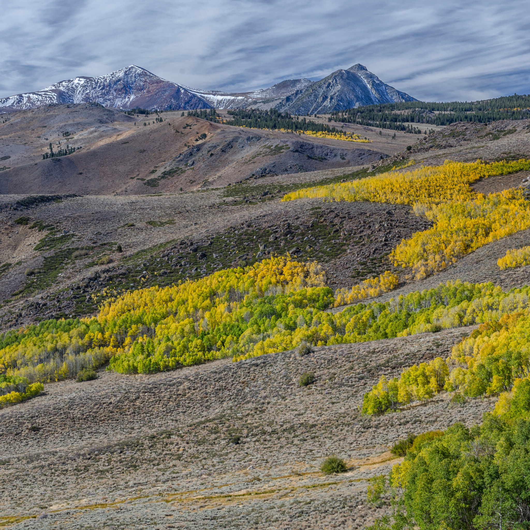 Sigma 17-70mm F2.8-4 DC Macro OS HSM | C sample photo. Fall colors in the sierra nevada photography