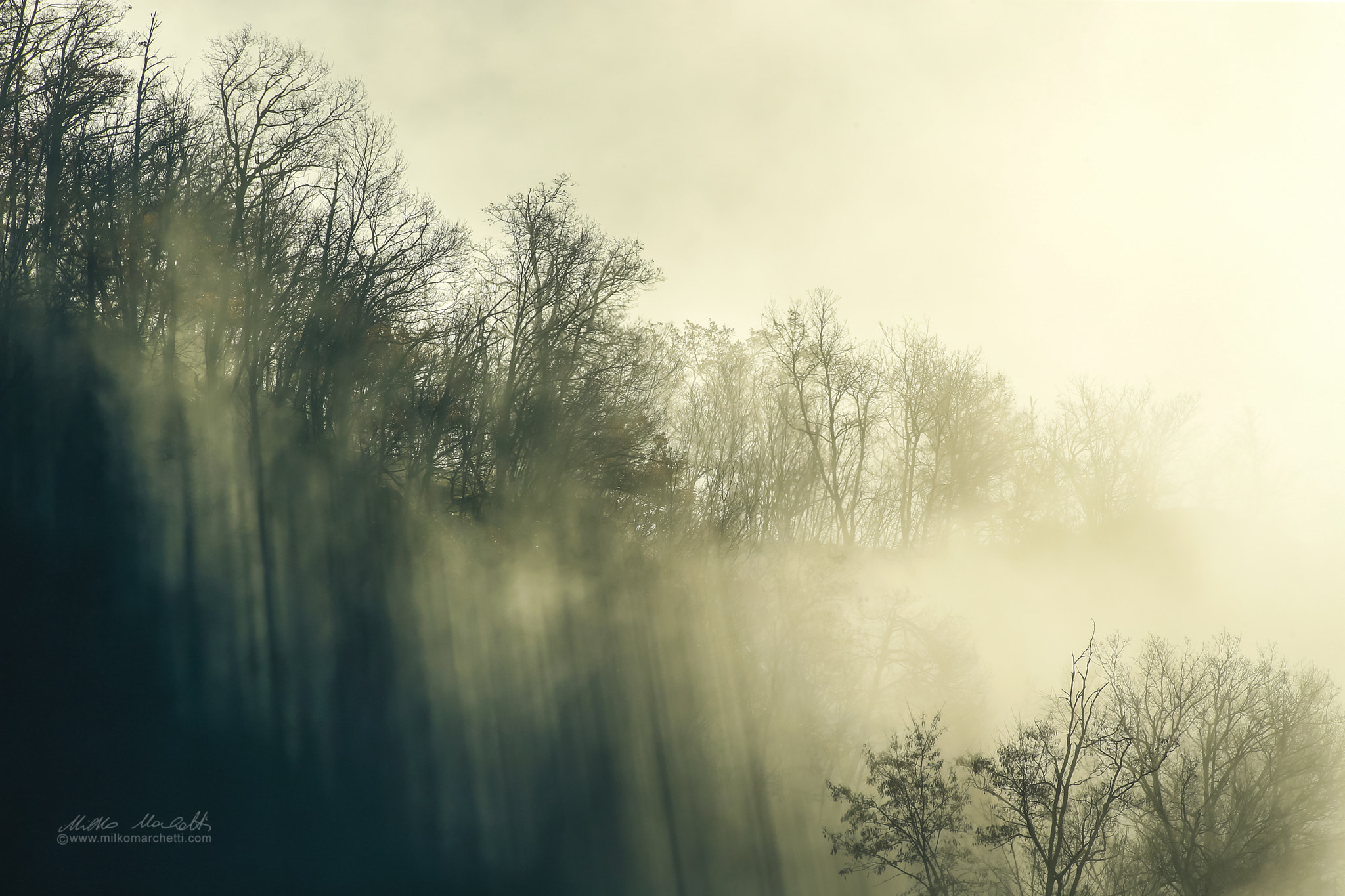 Canon EF 300mm f/2.8L + 1.4x sample photo. Fog and sun photography