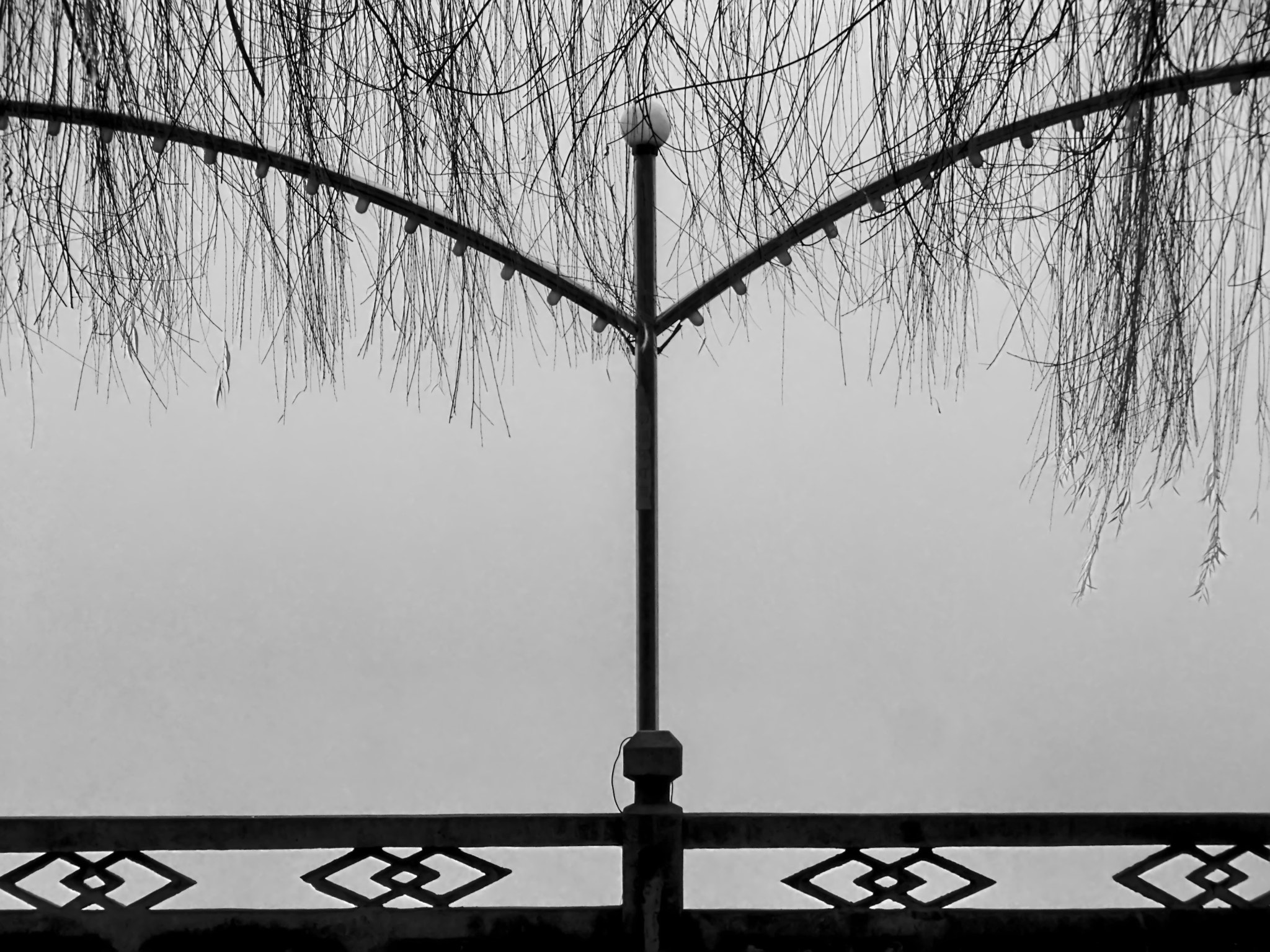CASIO EX-ZR200 sample photo. The fog shrouded the railings photography