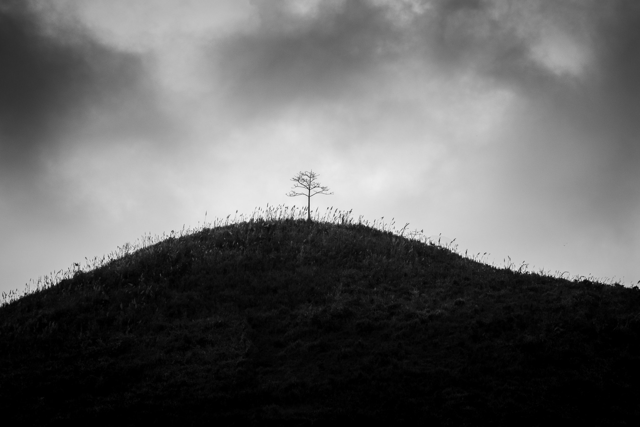 Fujifilm X-E2 + Fujifilm XC 50-230mm F4.5-6.7 OIS II sample photo. Xe2b0591.jpg photography