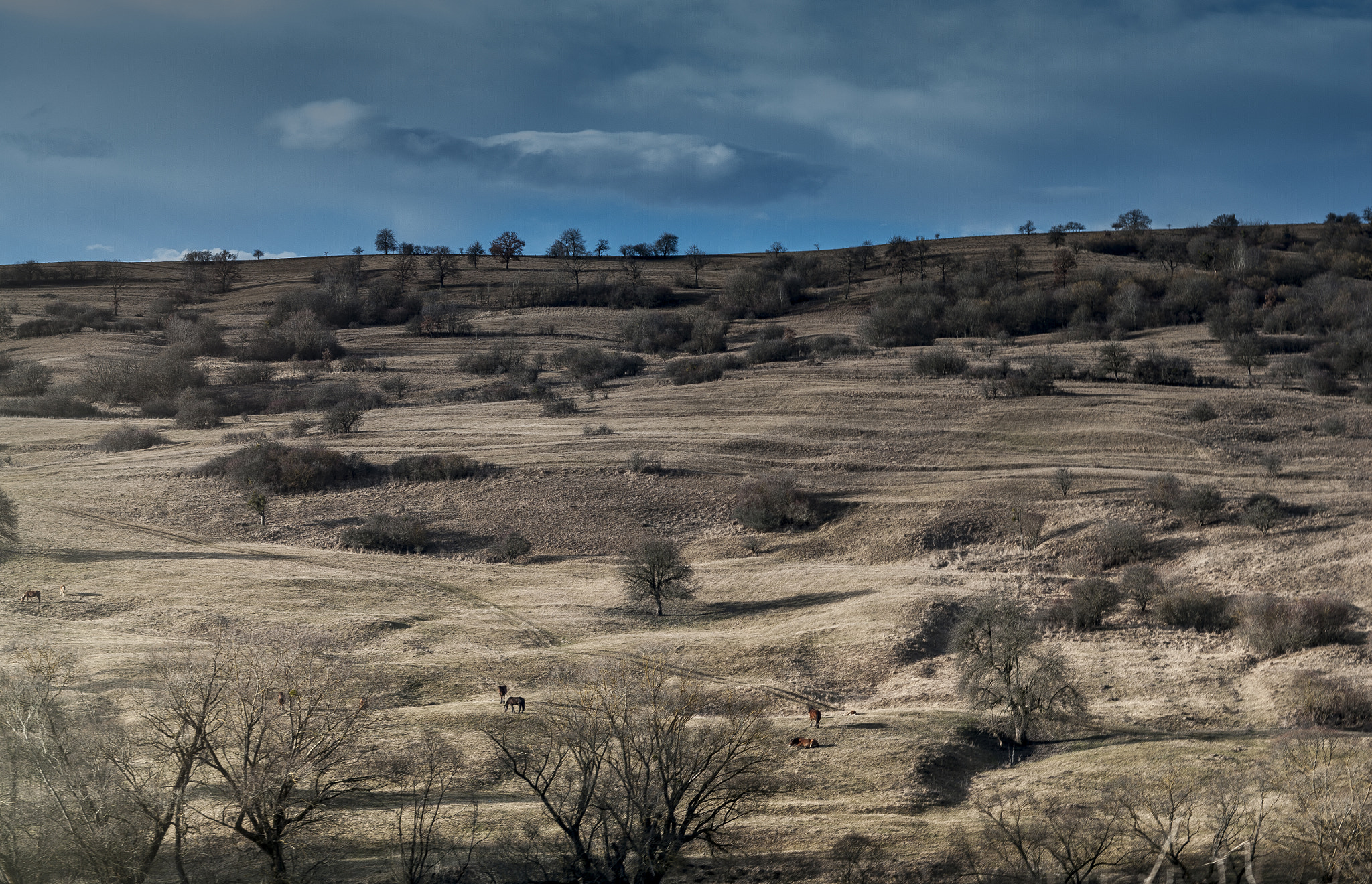 Pentax K-7 sample photo. Landscape of transylvania photography