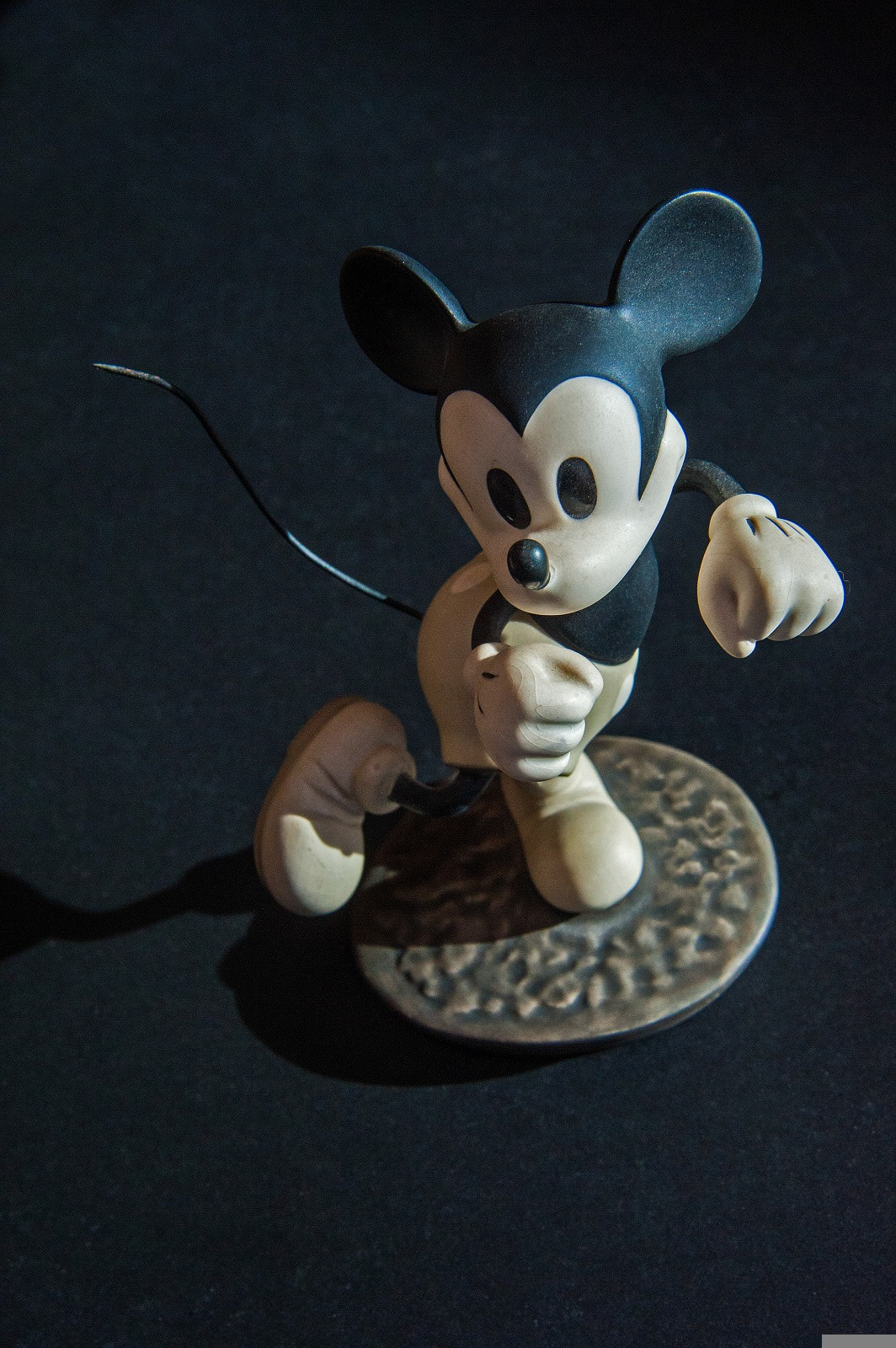 Nikon D3 sample photo. Mickey_mouse photography