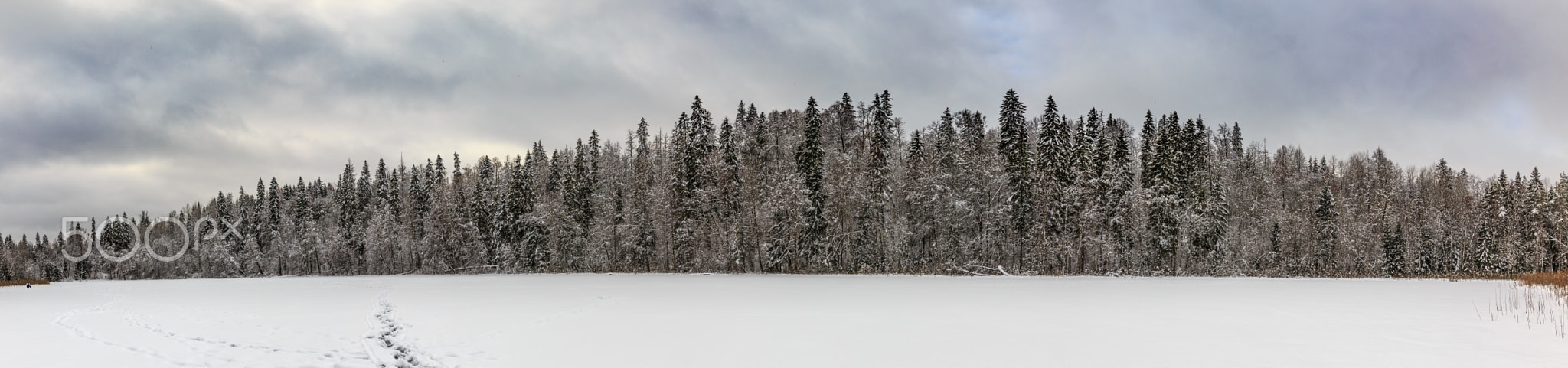 West bank of Tagajärve