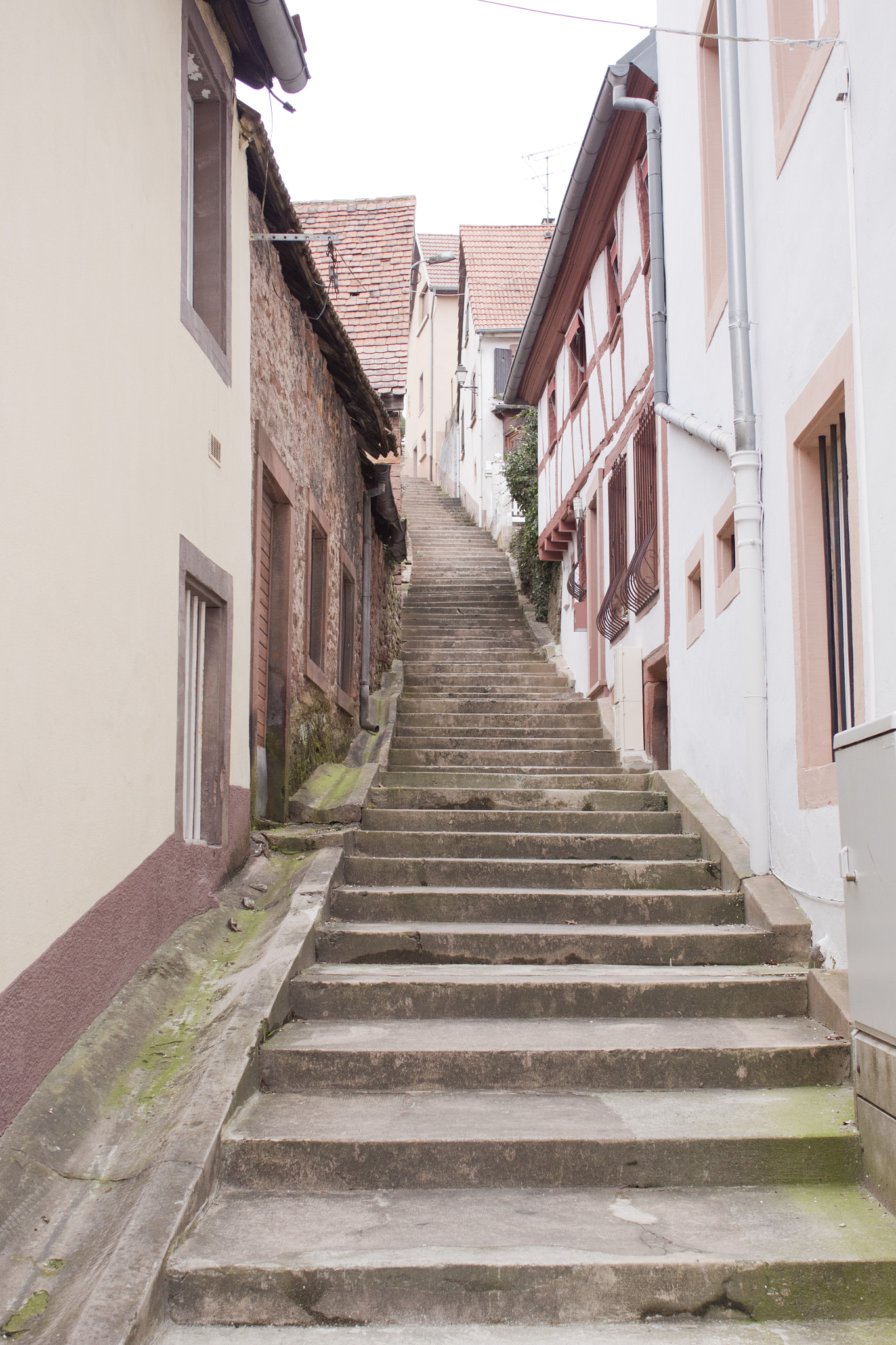 Canon EOS 500D (EOS Rebel T1i / EOS Kiss X3) + Canon EF 28mm F2.8 sample photo. Escalier à nierderbronn photography