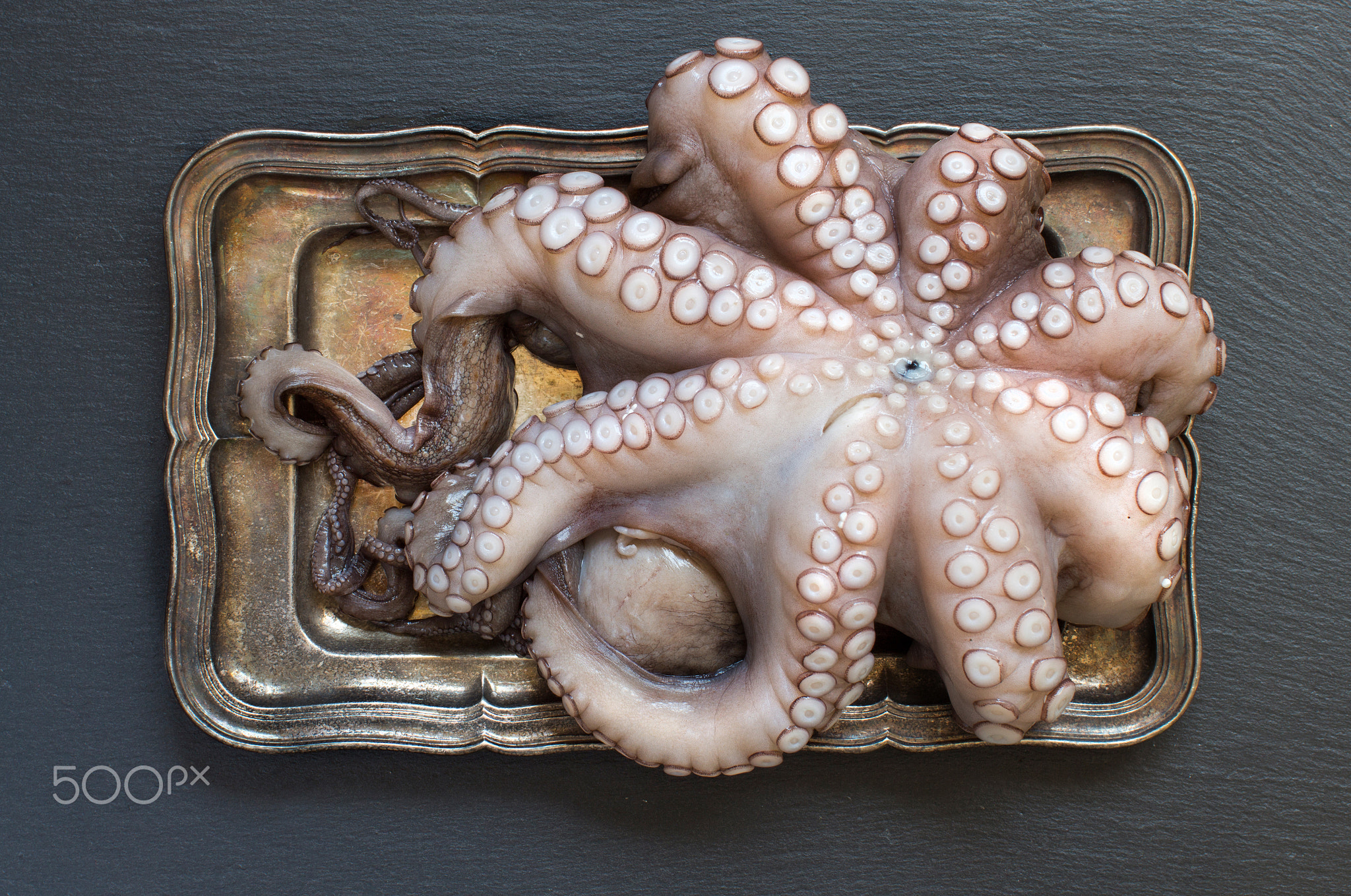 Raw octopus on tray