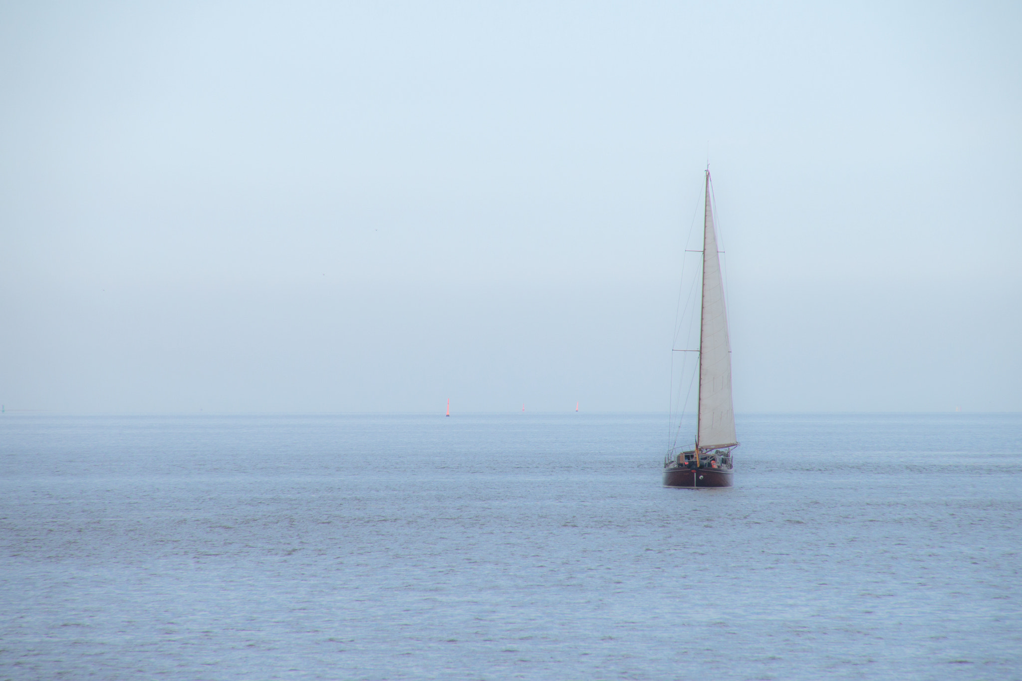 Tamron 16-300mm F3.5-6.3 Di II VC PZD Macro sample photo. Longing for summer...  photography