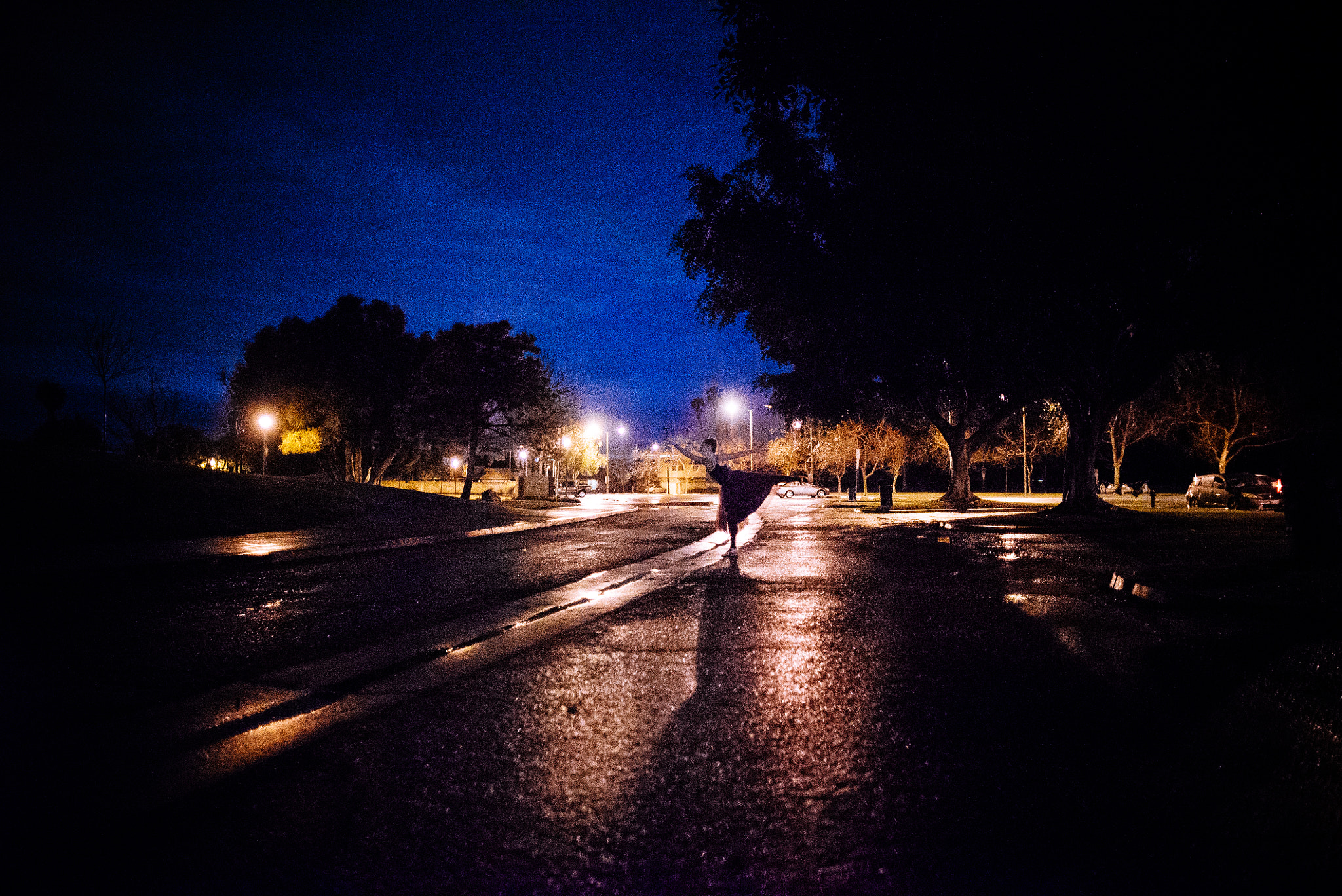 Sony a7S + Canon EF 24mm F1.4L II USM sample photo. _dsc0023-1.jpg photography