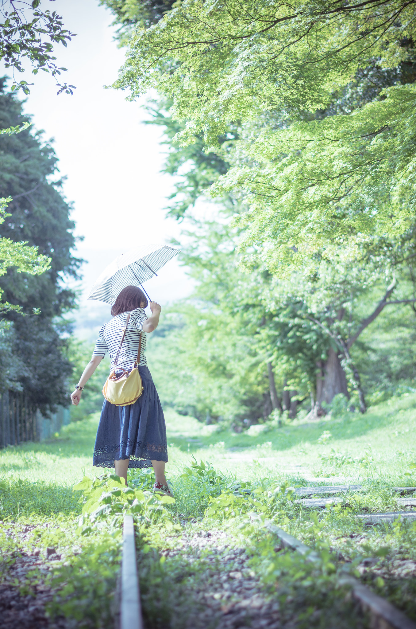 Pentax smc DA* 55mm F1.4 SDM sample photo. Welcome summer. photography