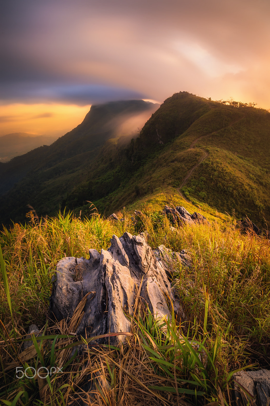 Nikon AF-S Nikkor 18-35mm F3.5-4.5G ED sample photo. Doi pha tang 2 photography