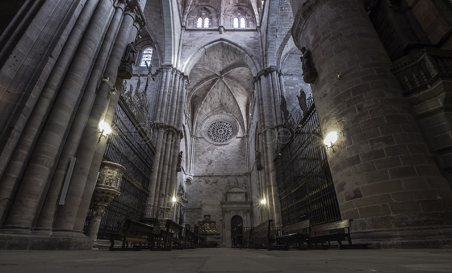 Olympus E-5 + OLYMPUS  7-14mm Lens sample photo. Catedral de sigüenza photography