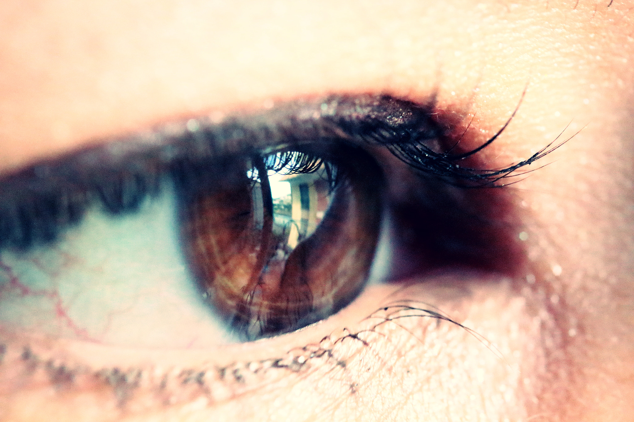 Canon EF-S 60mm F2.8 Macro USM sample photo. Thinking home photography