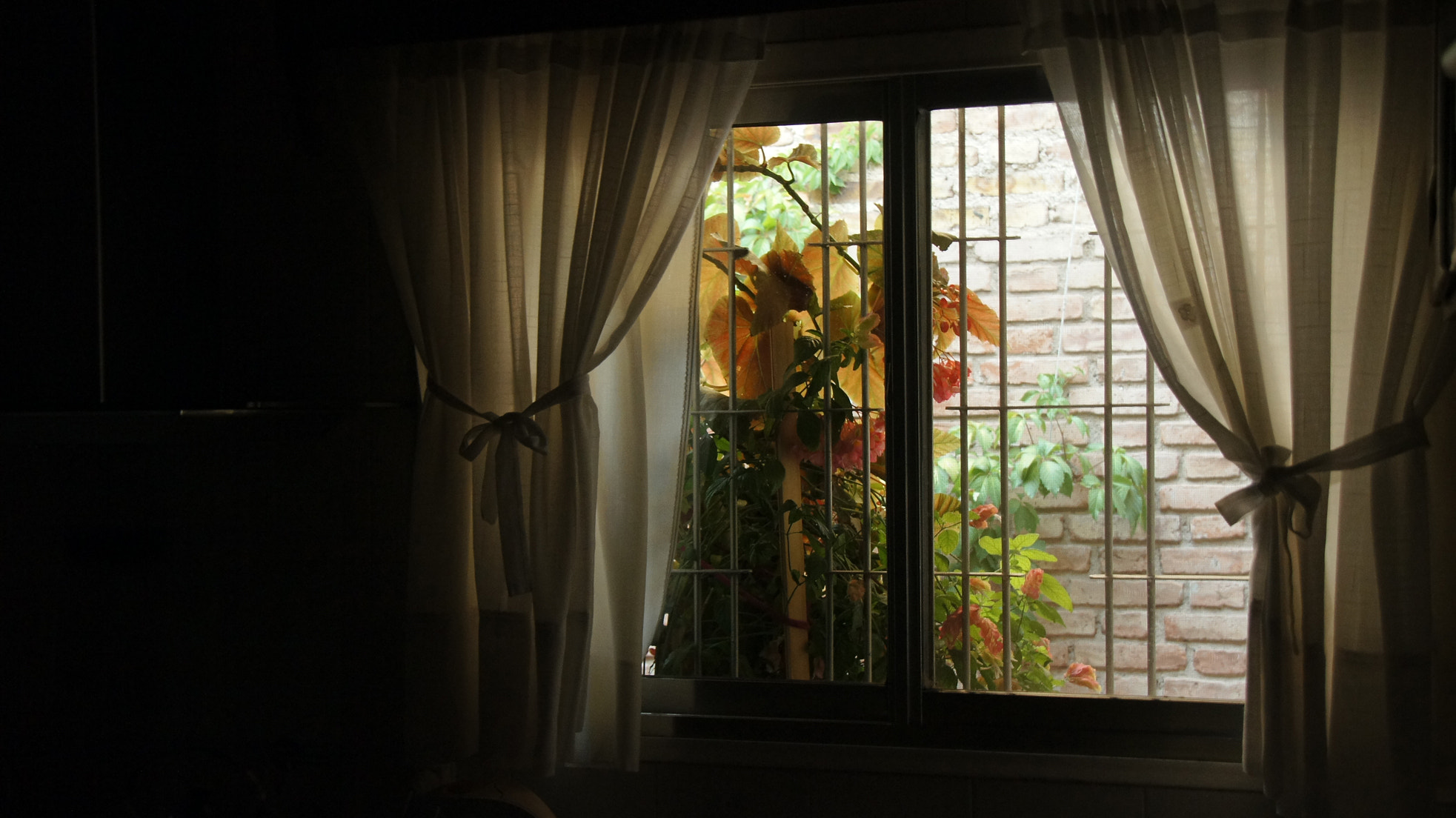 Sony Alpha DSLR-A580 sample photo