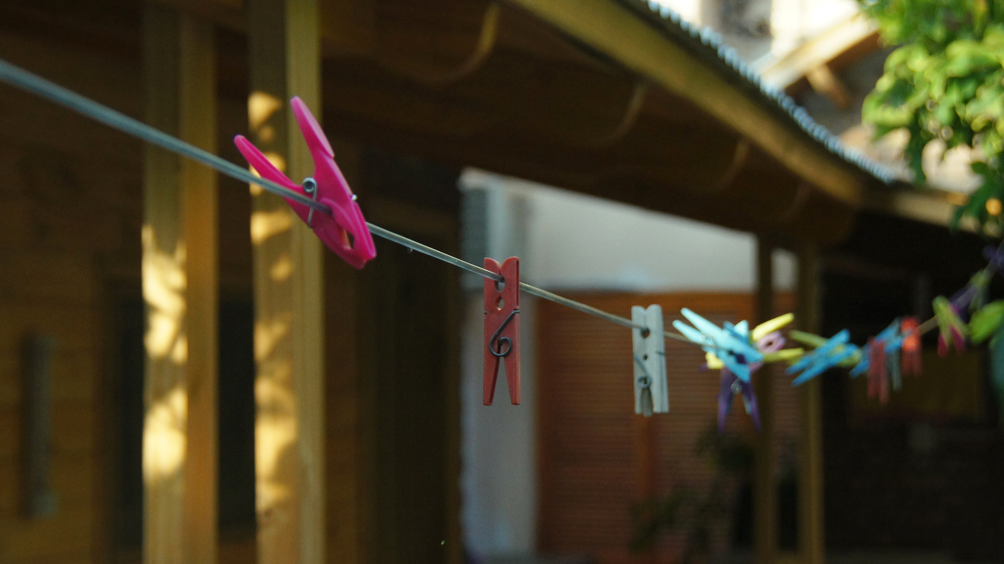 Sony Alpha DSLR-A580 sample photo