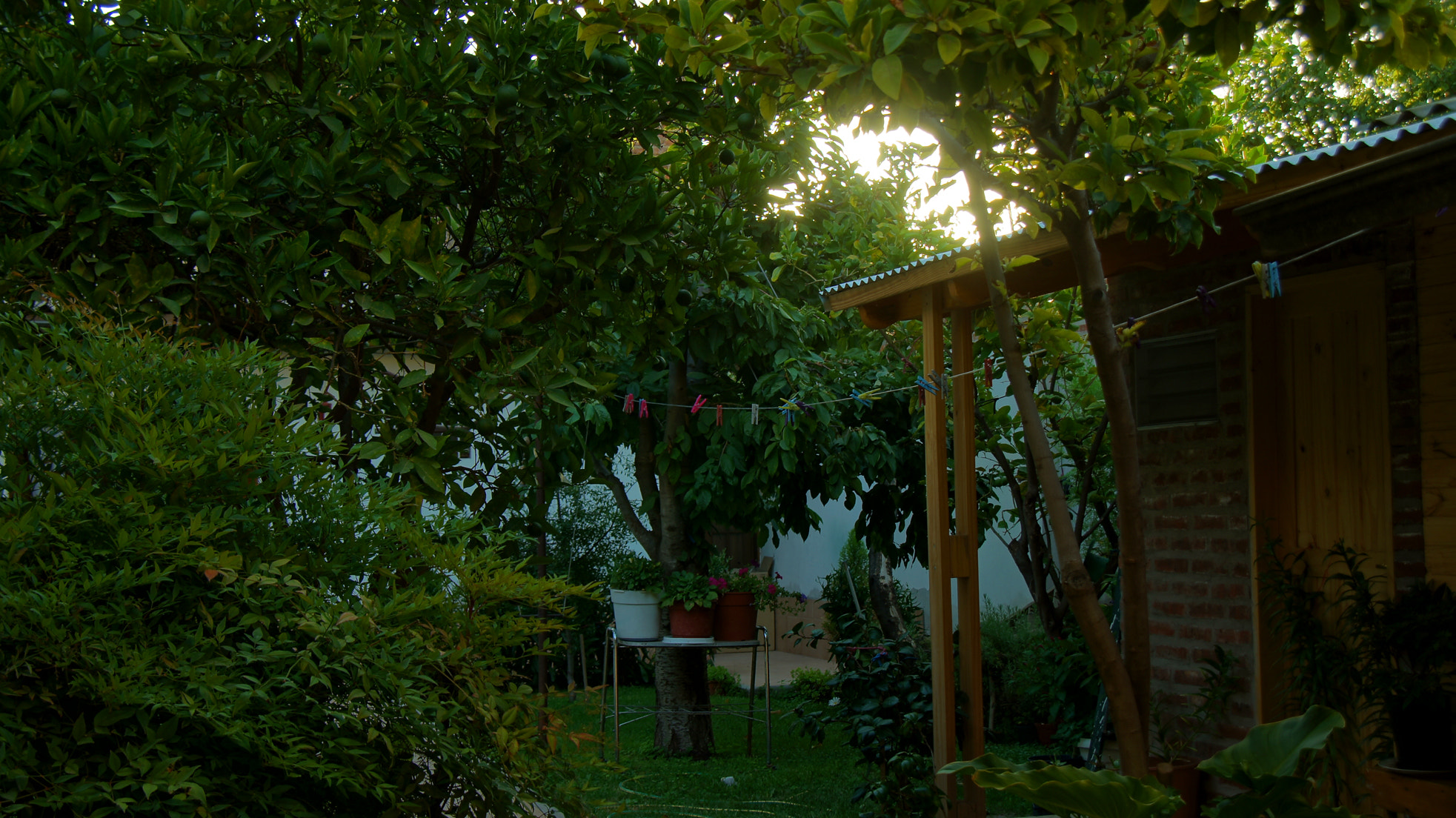 Sony Alpha DSLR-A580 sample photo