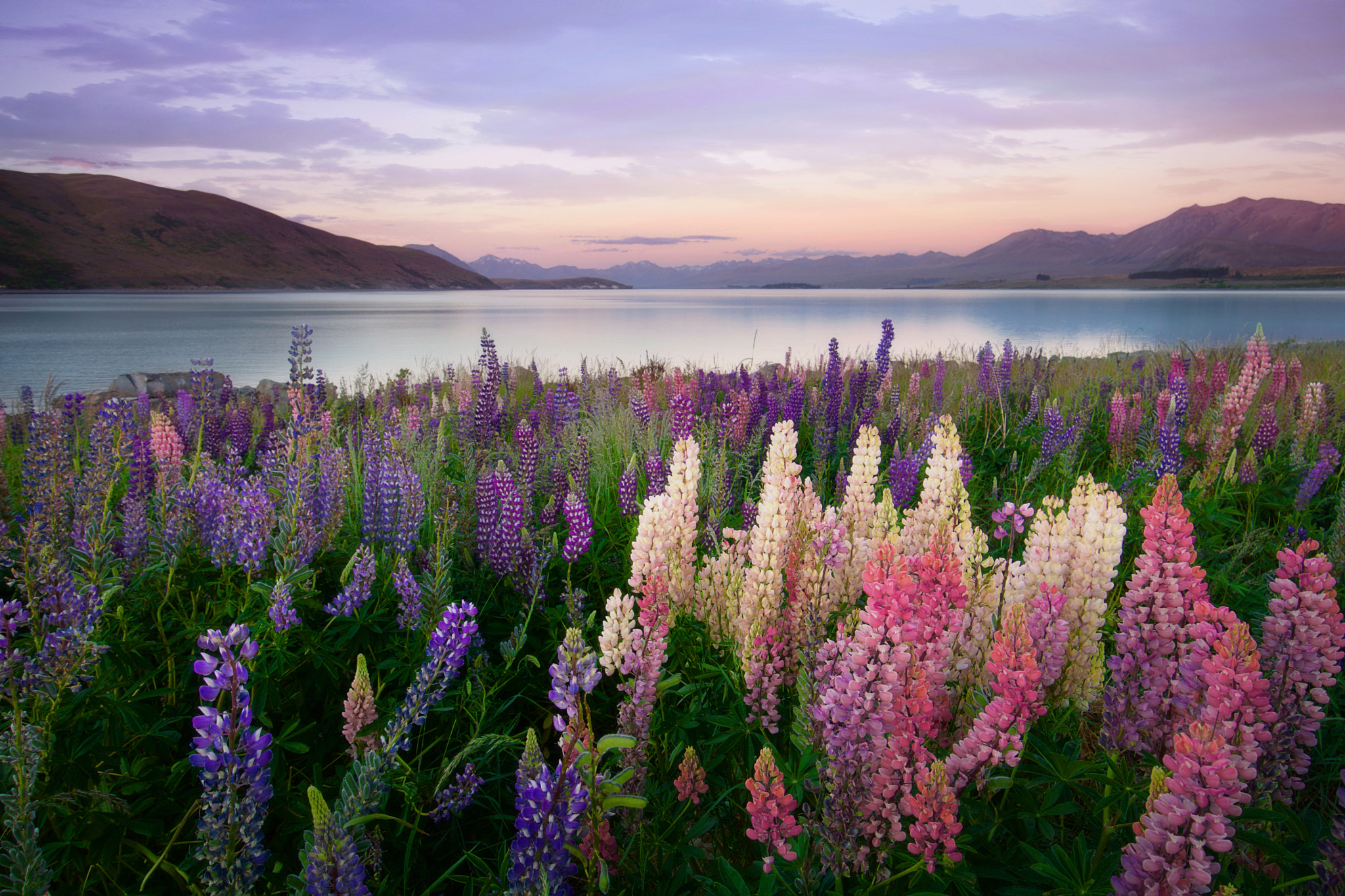 Sony a6000 + Sony E 10-18mm F4 OSS sample photo. Lake tekapo photography