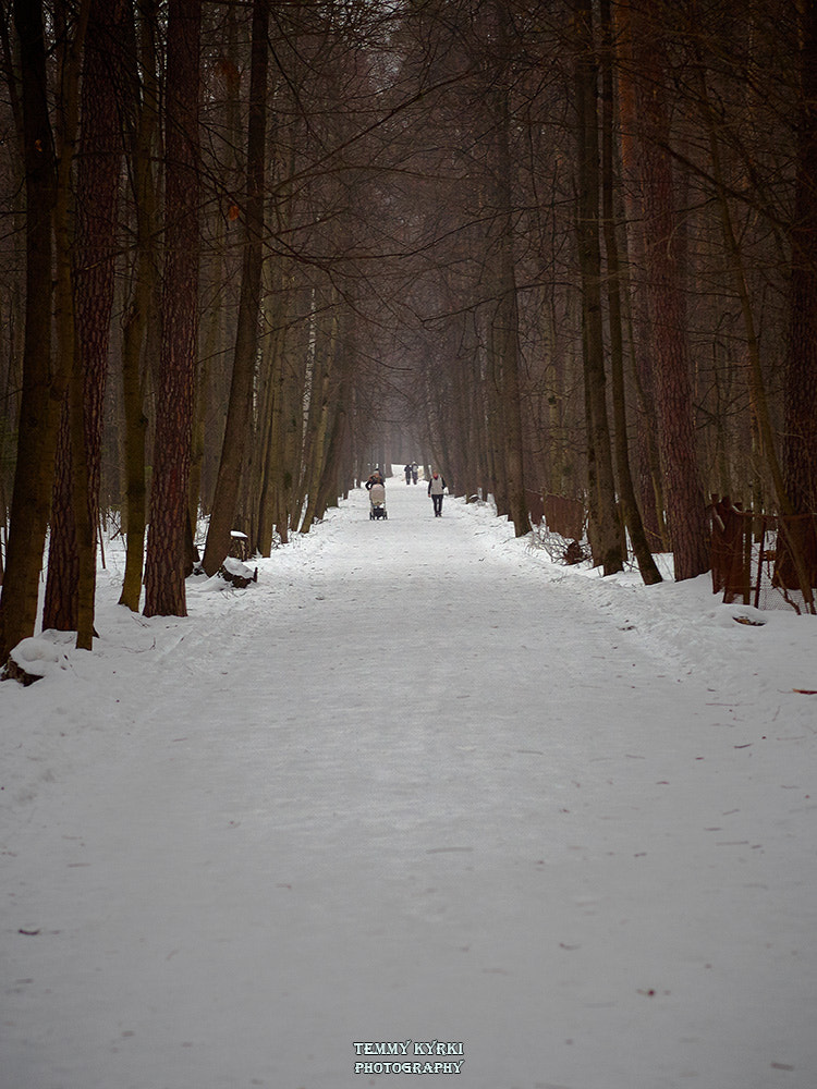 Olympus PEN E-PL5 + Sigma 60mm F2.8 DN Art sample photo. Park, winter ii photography