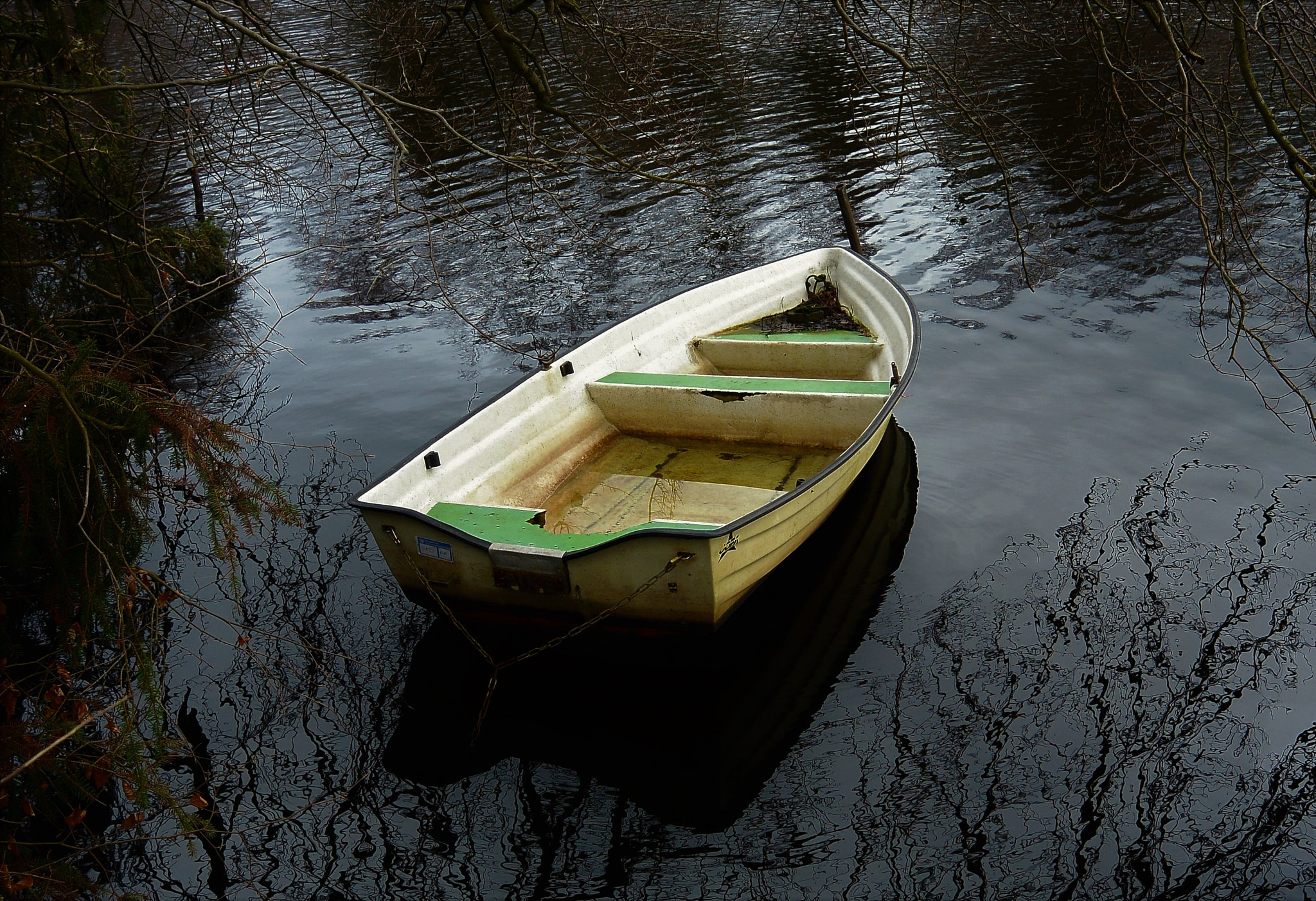 Nikon 1 S1 sample photo. A dream... photography