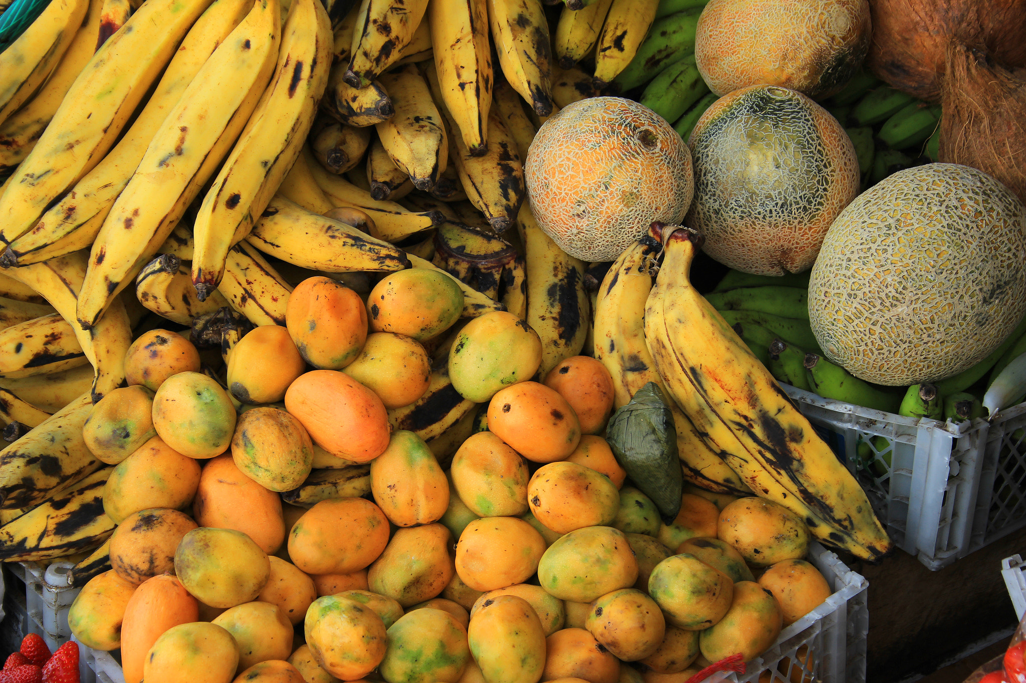 Canon EF-S 18-55mm F3.5-5.6 sample photo. Colorful exotic fruit photography