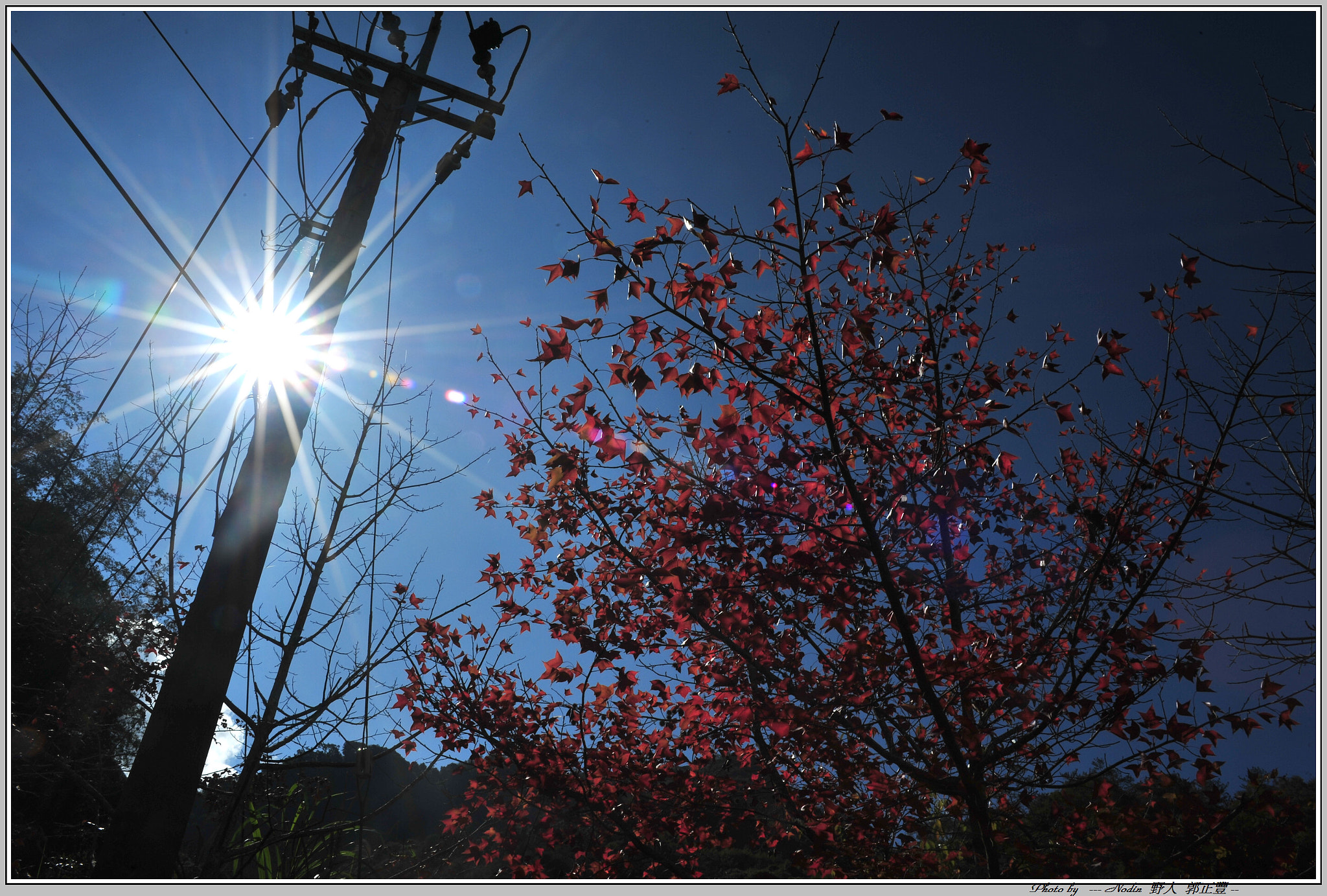 Nikon D700 + Sigma 28-70mm F2.8 EX sample photo. Dsc_9395-1.jpg photography