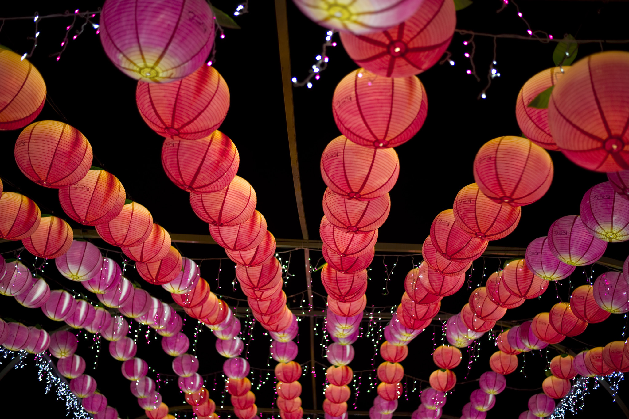 Nikon D800 + Sigma 50-150mm F2.8 EX APO DC HSM II sample photo. Lantern festival photography