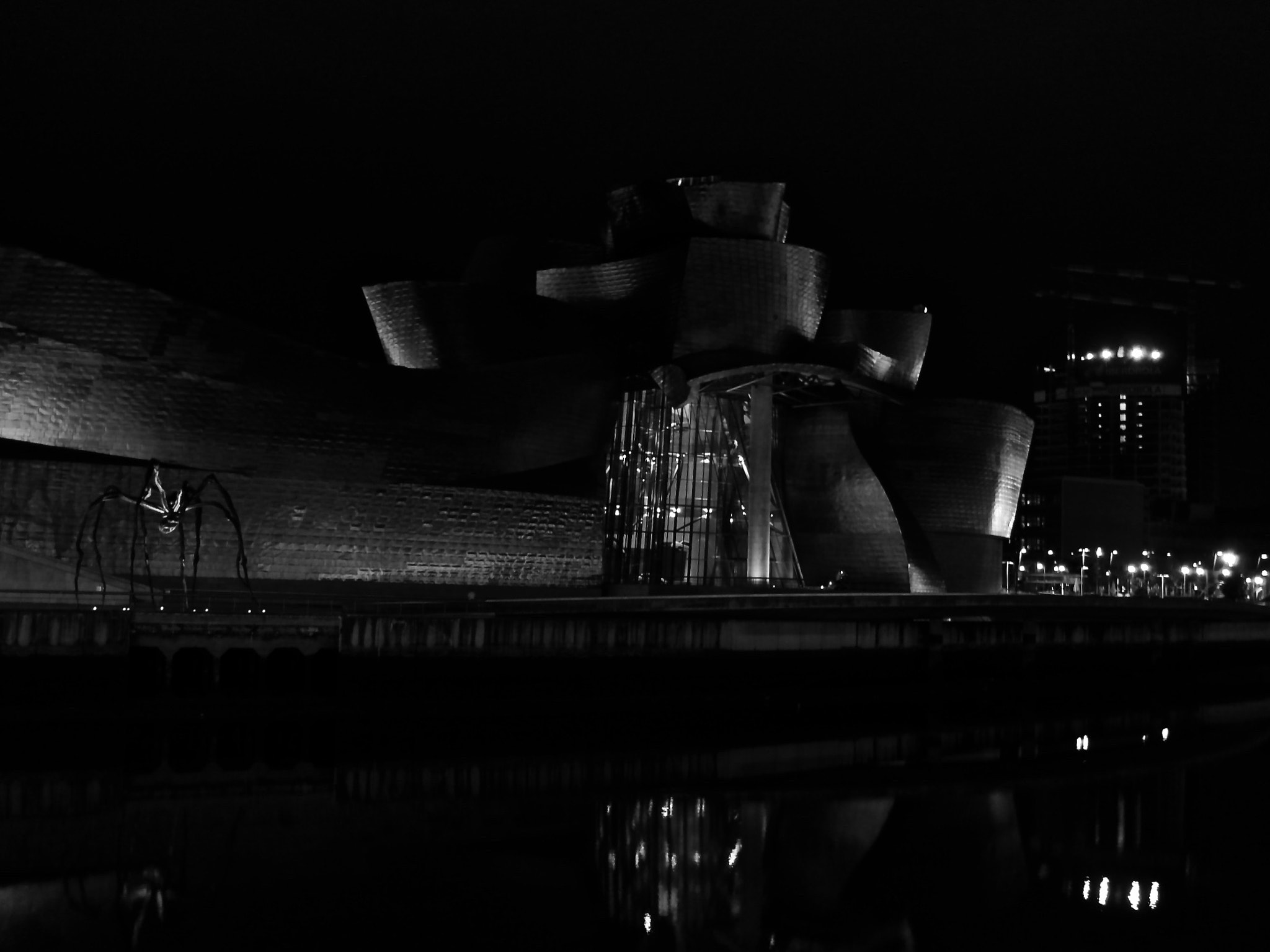 CASIO EX-F1 sample photo. Guggenheim bilbao photography