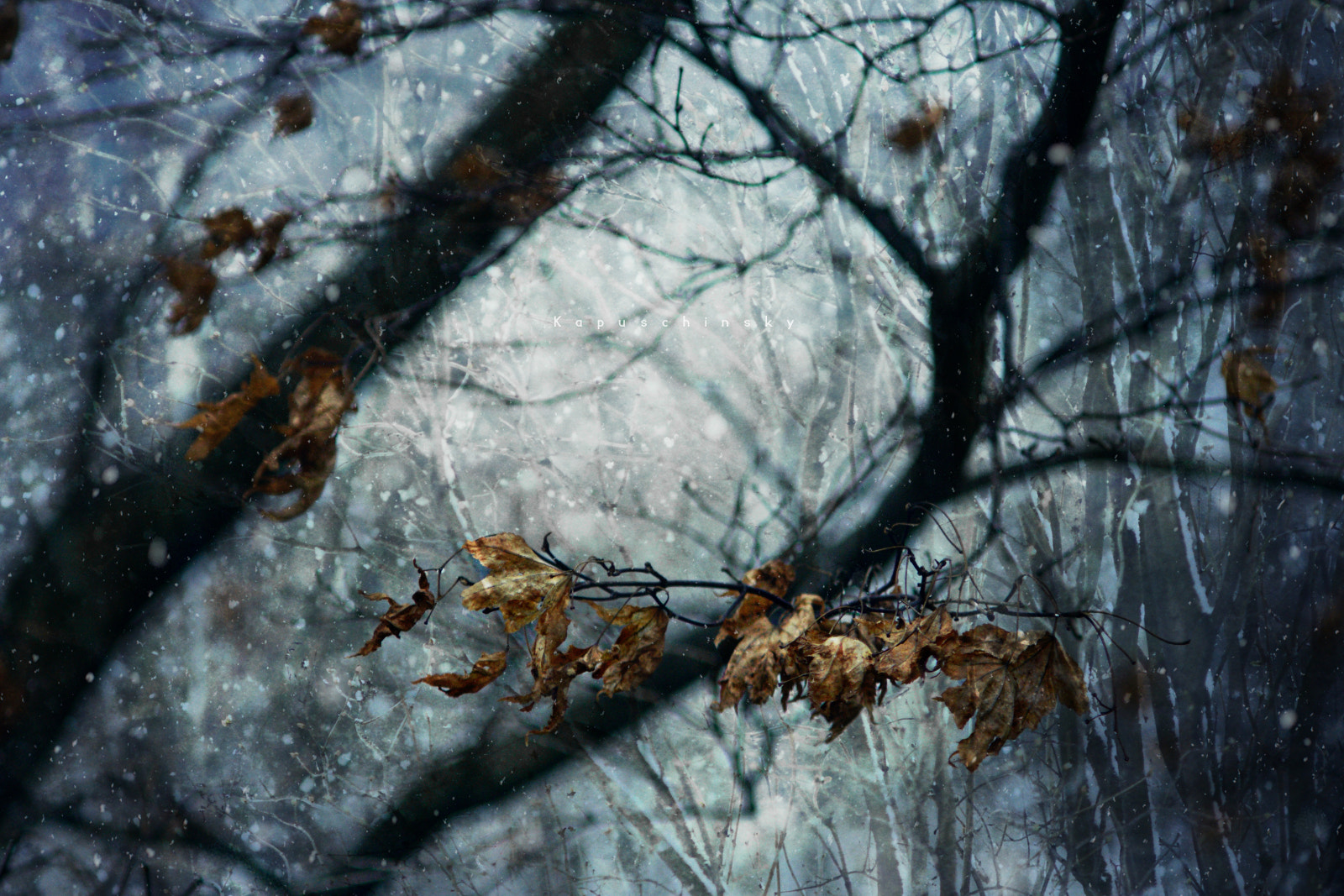 Sony Alpha DSLR-A700 + Minolta AF 70-210mm F4 Macro sample photo. Winter shiver photography