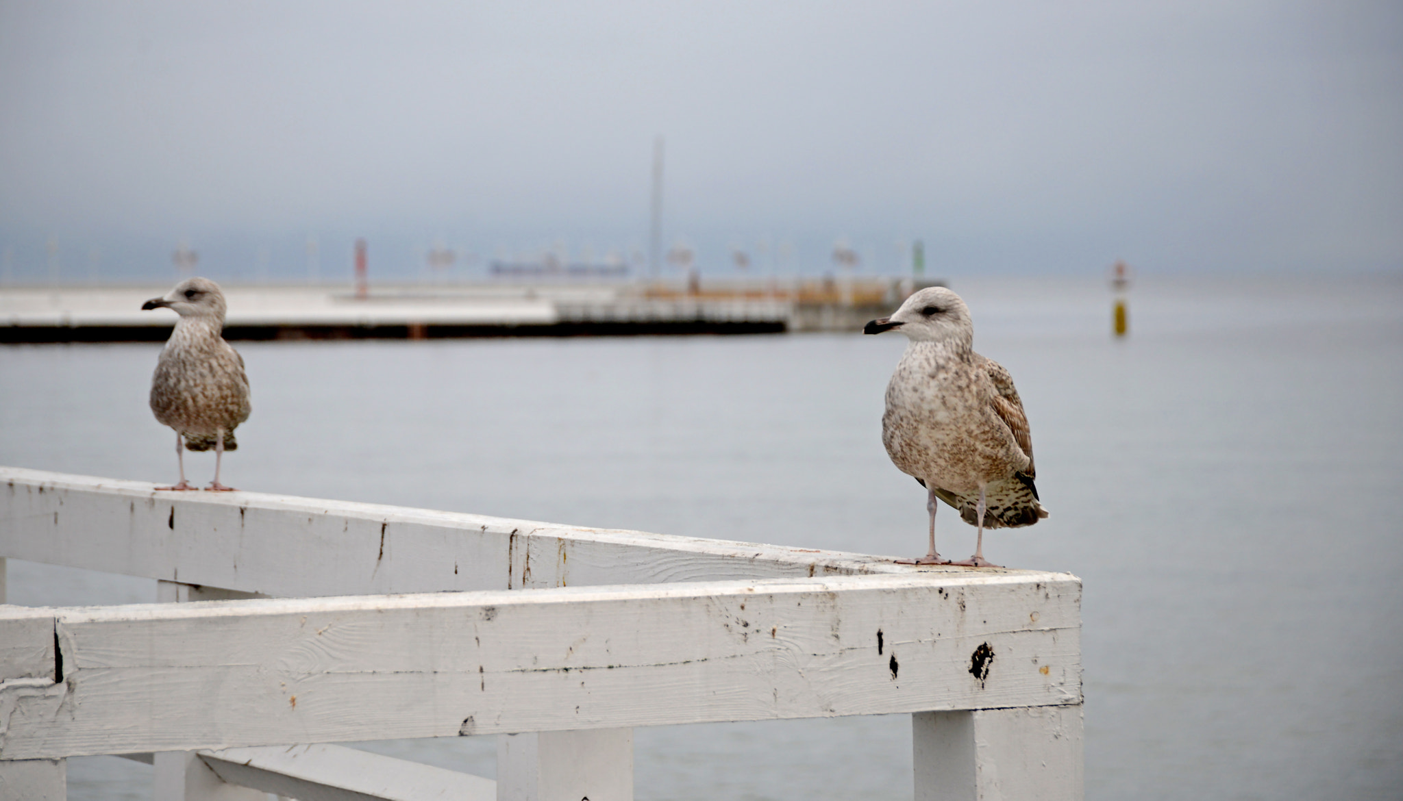Nikon D600 sample photo. Cloudy dey photography