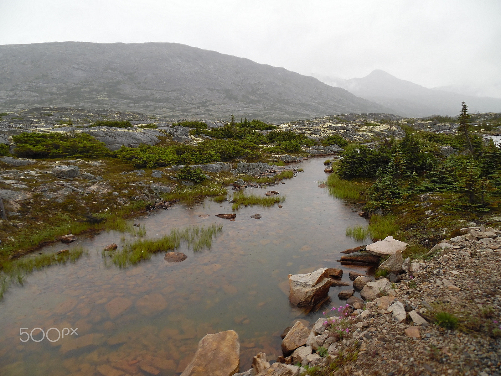 Samsung WB35F/WB36F/WB37F sample photo. Yukon foggy river photography