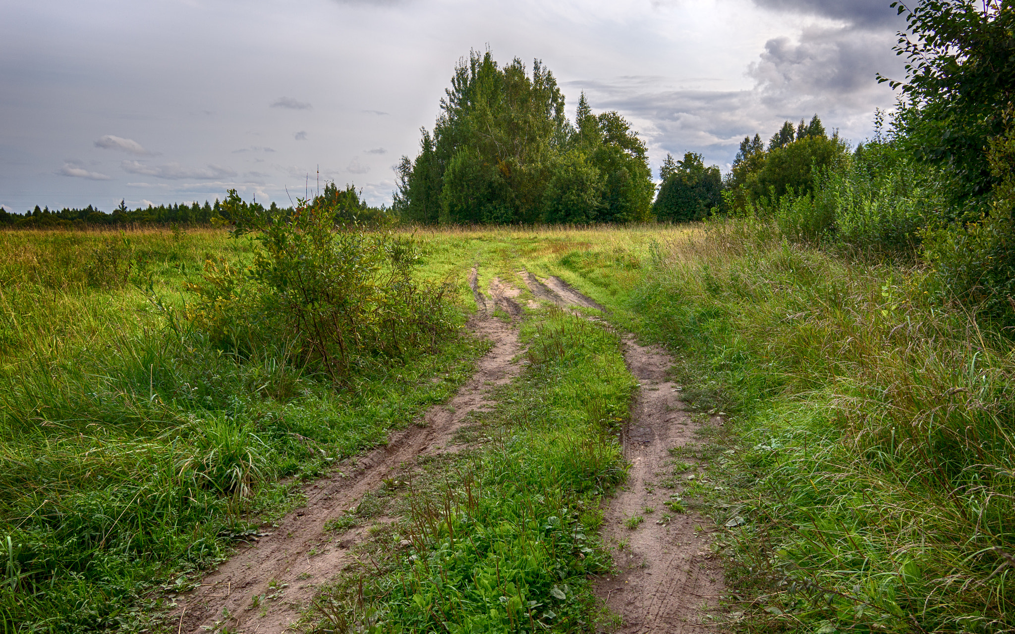 Sony Alpha NEX-5N + Sigma 19mm F2.8 EX DN sample photo. Road. photography