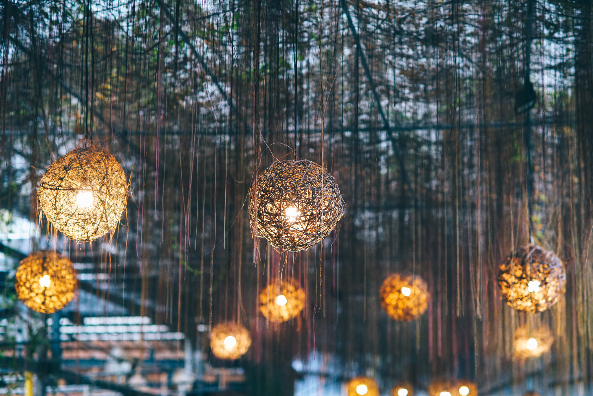 Sony Planar T* 85mm F1.4 ZA sample photo. 花卉村的燈 photography