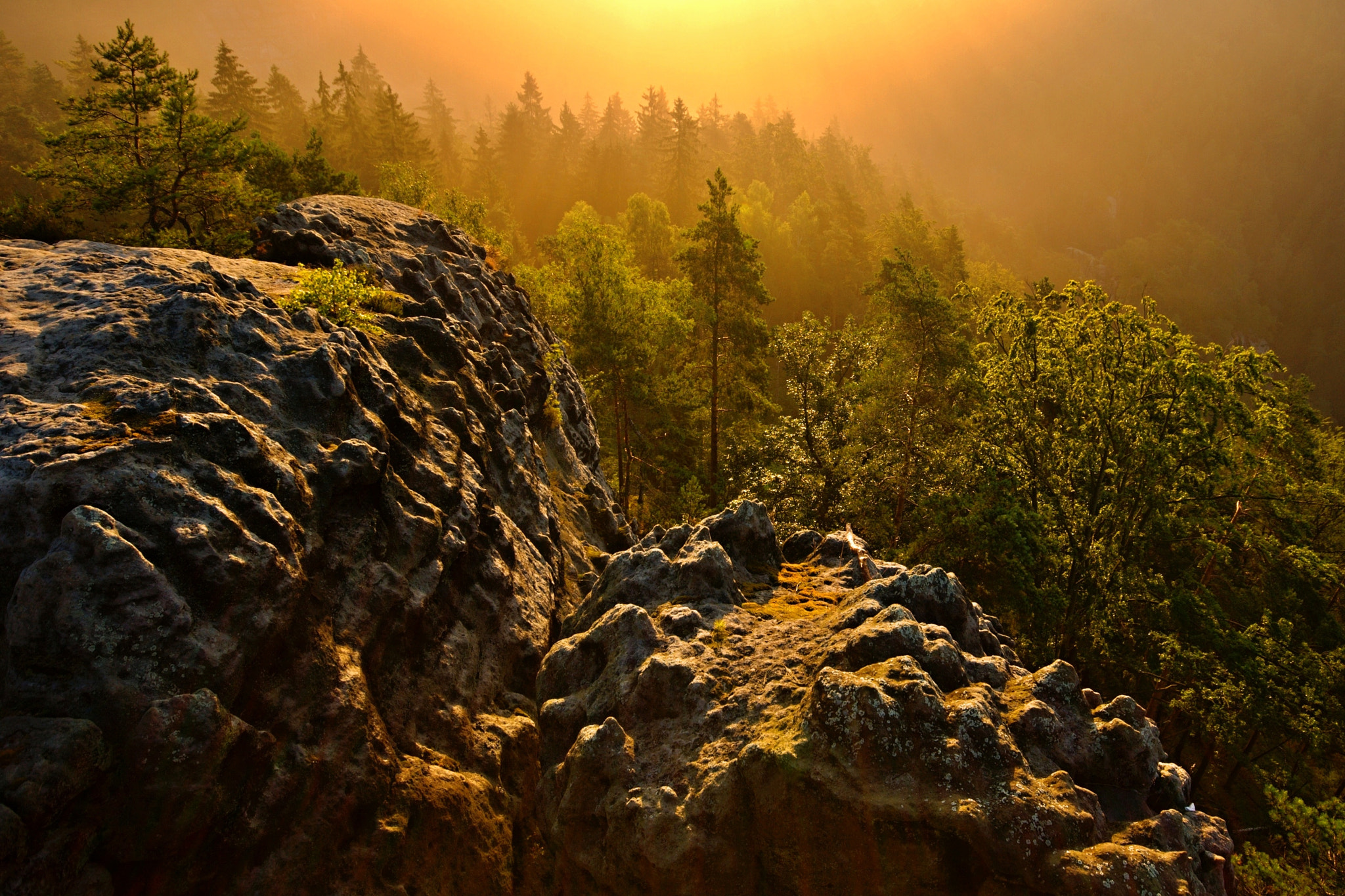 10.00 - 20.00 mm sample photo. Morning in the county of elves photography