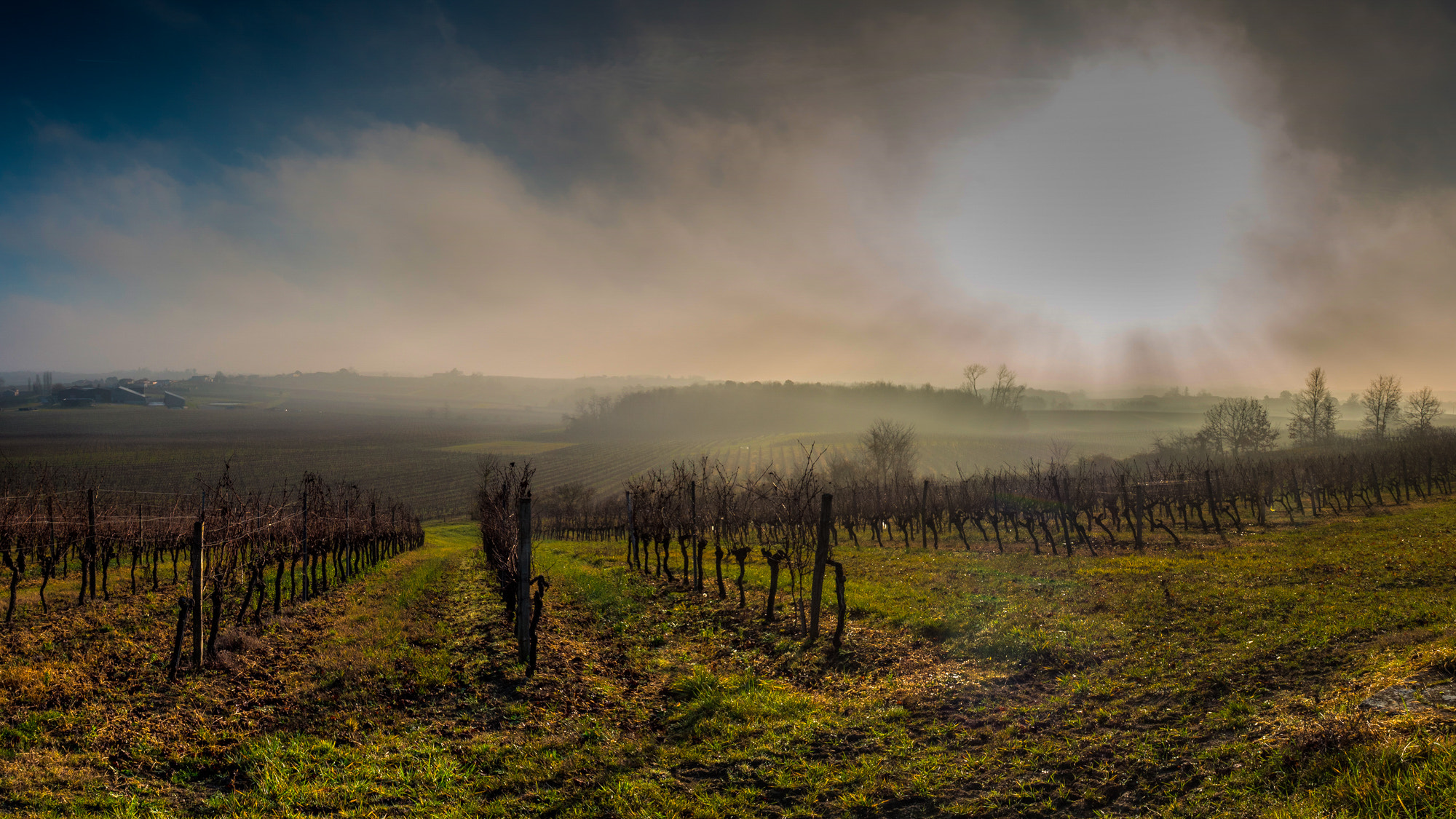 Olympus OM-D E-M10 sample photo. Winery photography