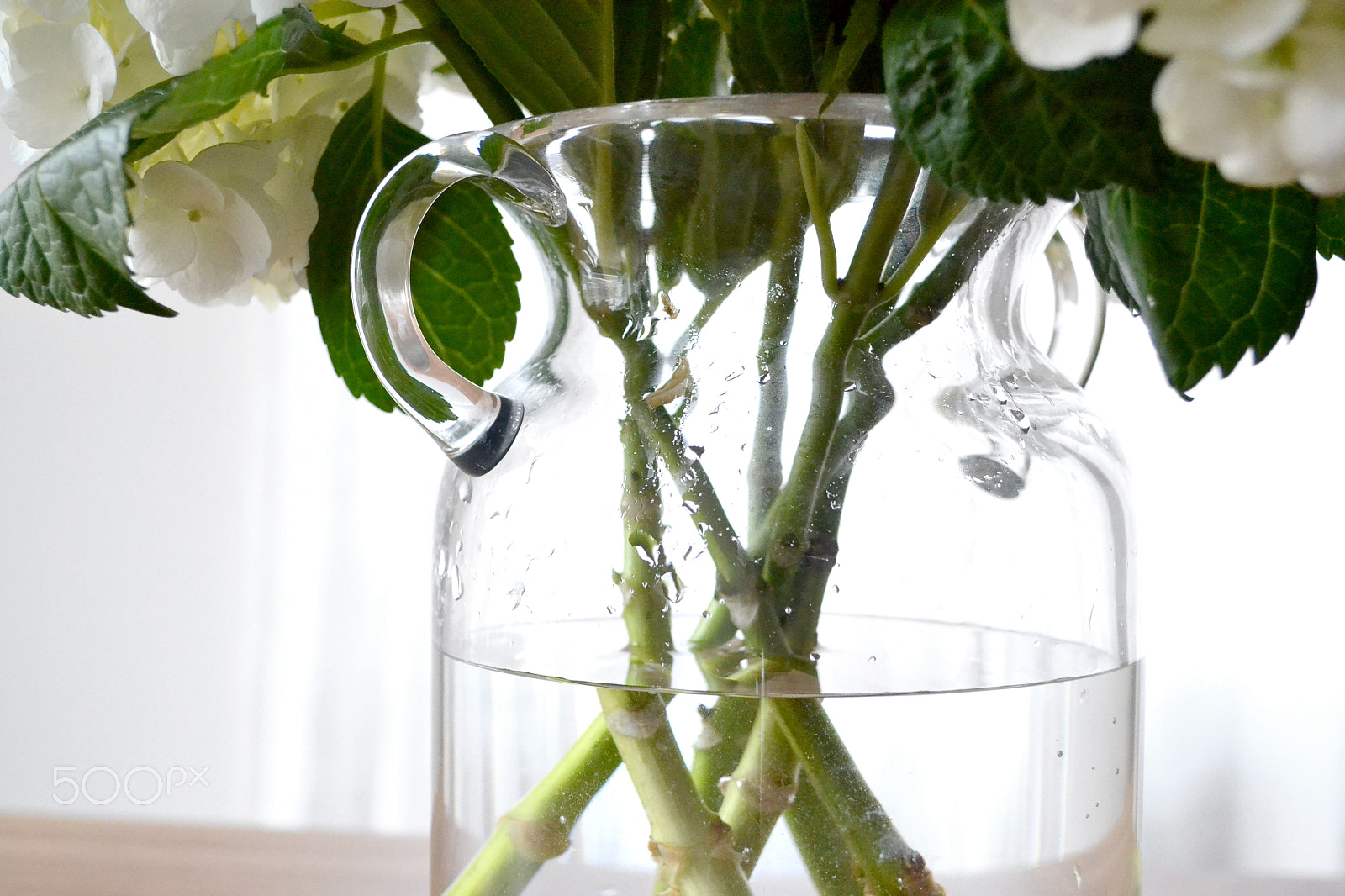 Nikon D3100 + AF Nikkor 28mm f/1.4D sample photo. Flower stems in glass vase natural light photography