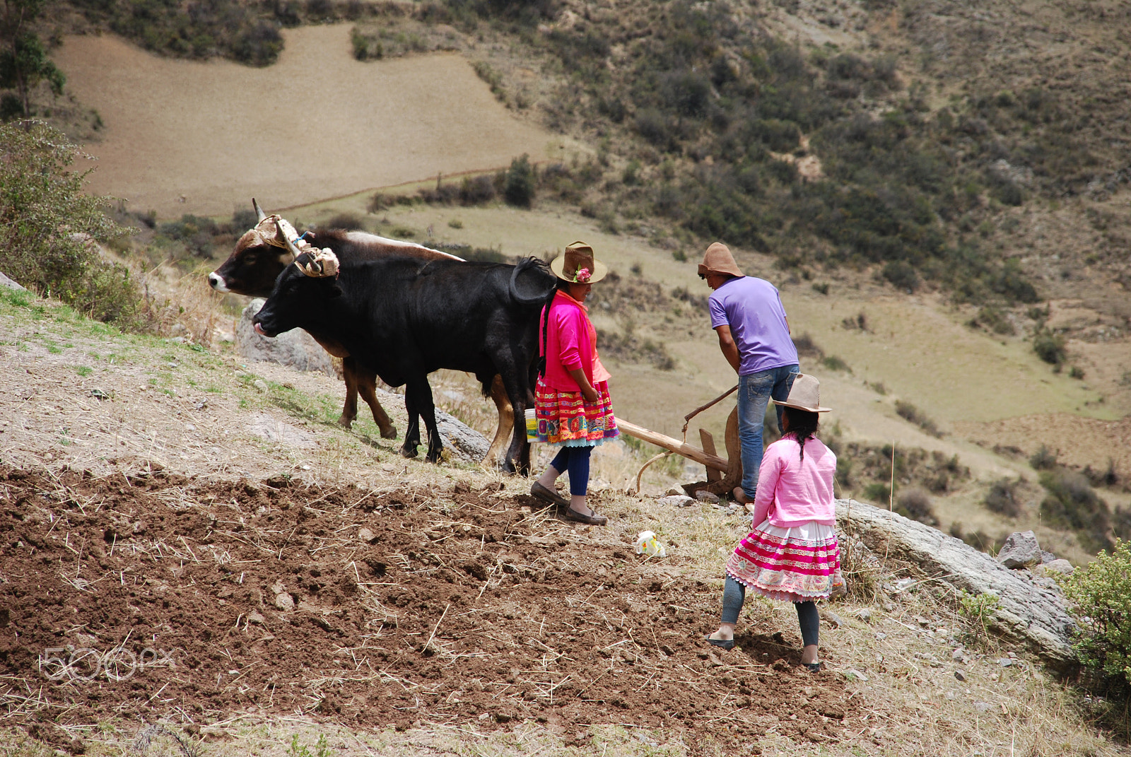 Nikon D40X + Sigma 18-200mm F3.5-6.3 DC sample photo. Peruvian farmers photography