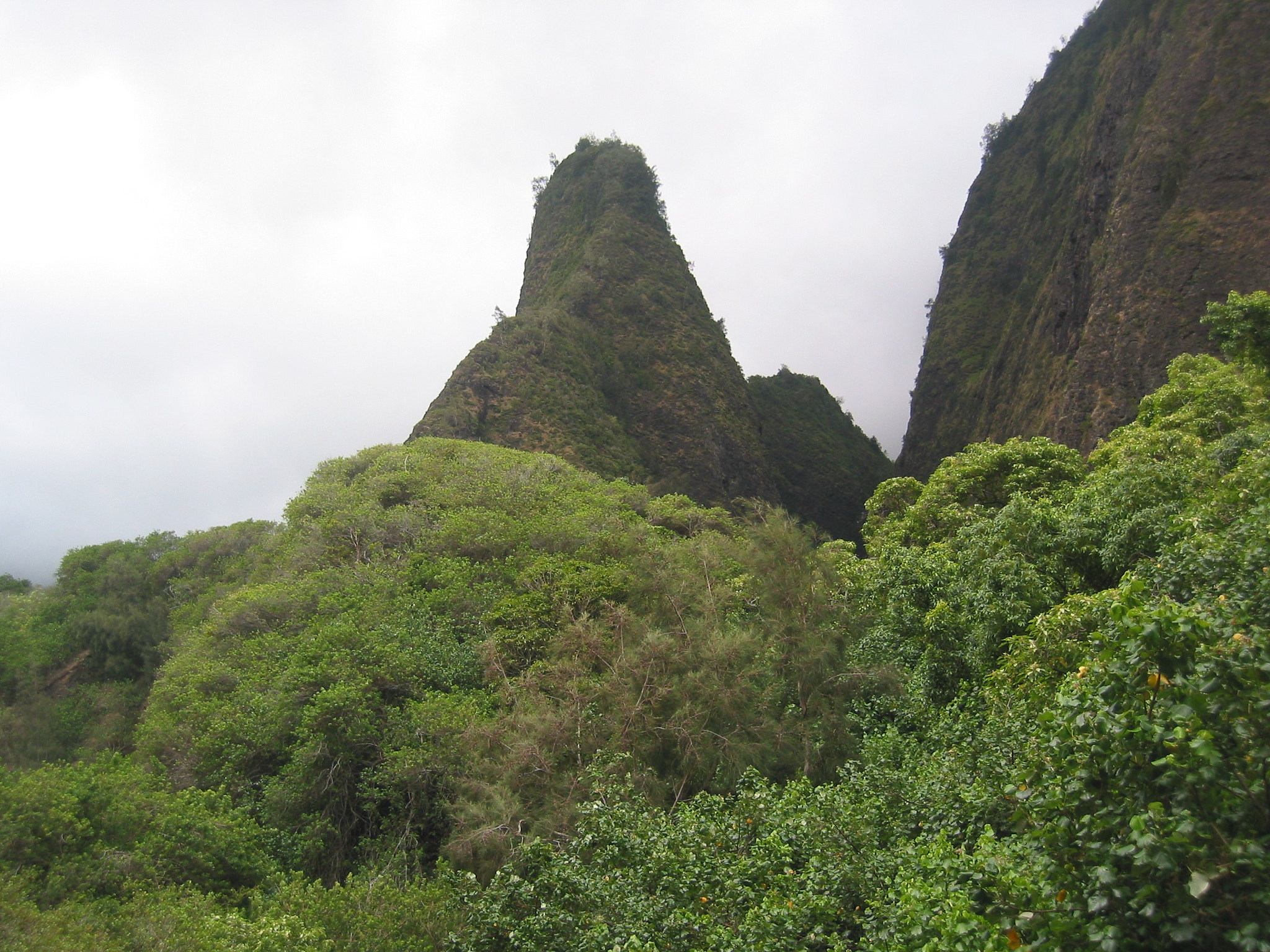 Canon POWERSHOT S40 sample photo. The needle - maui photography