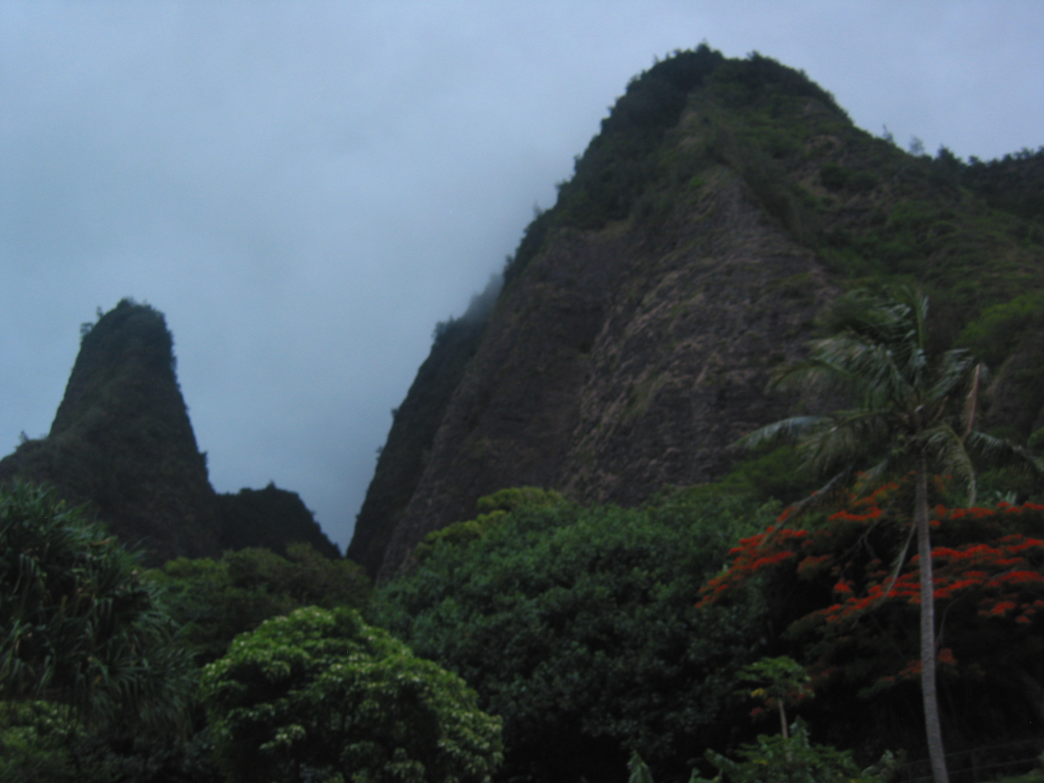 Canon POWERSHOT S40 sample photo. Maui - the needle photography