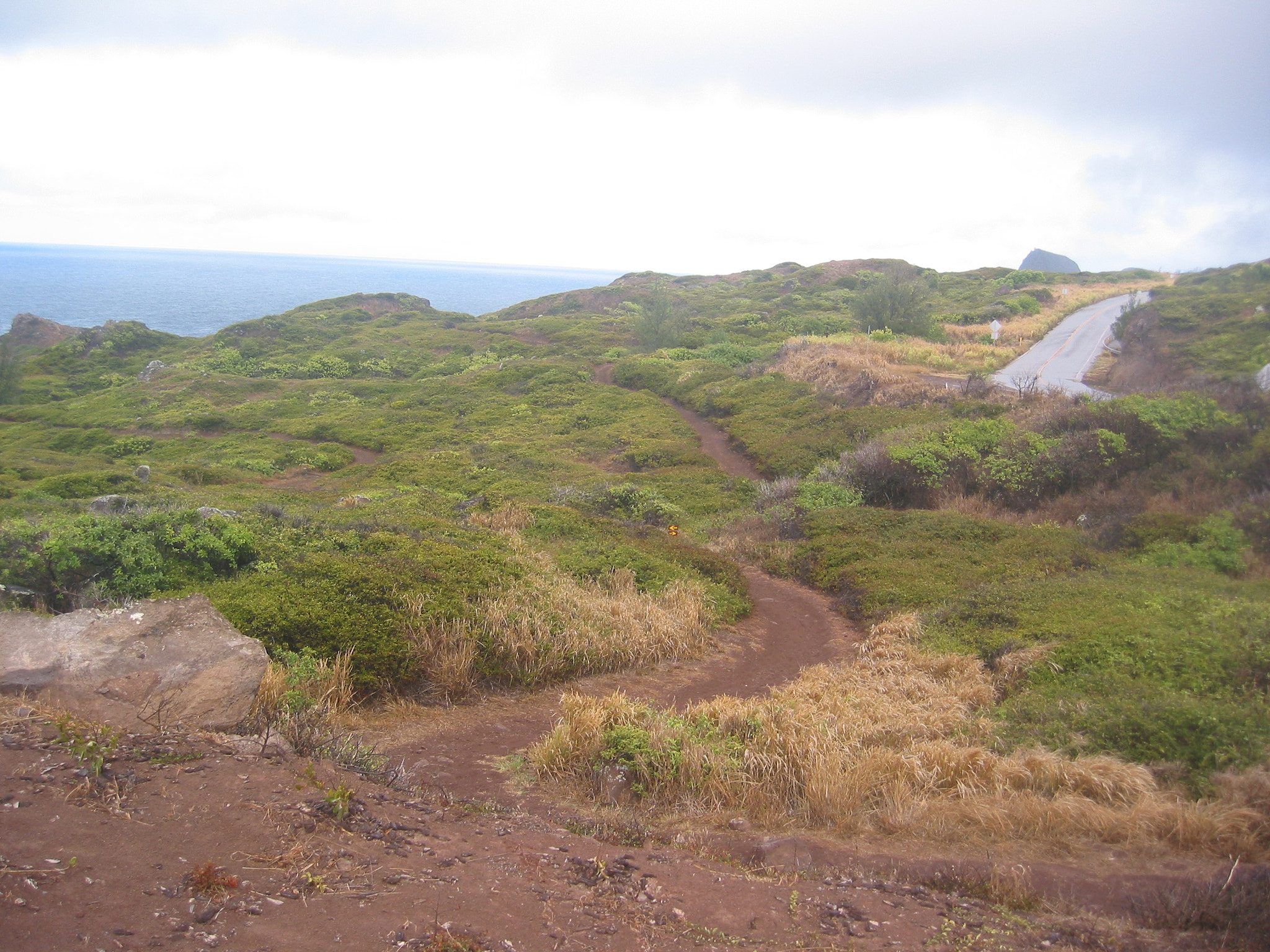 Canon POWERSHOT S40 sample photo. Maui - hawaii photography