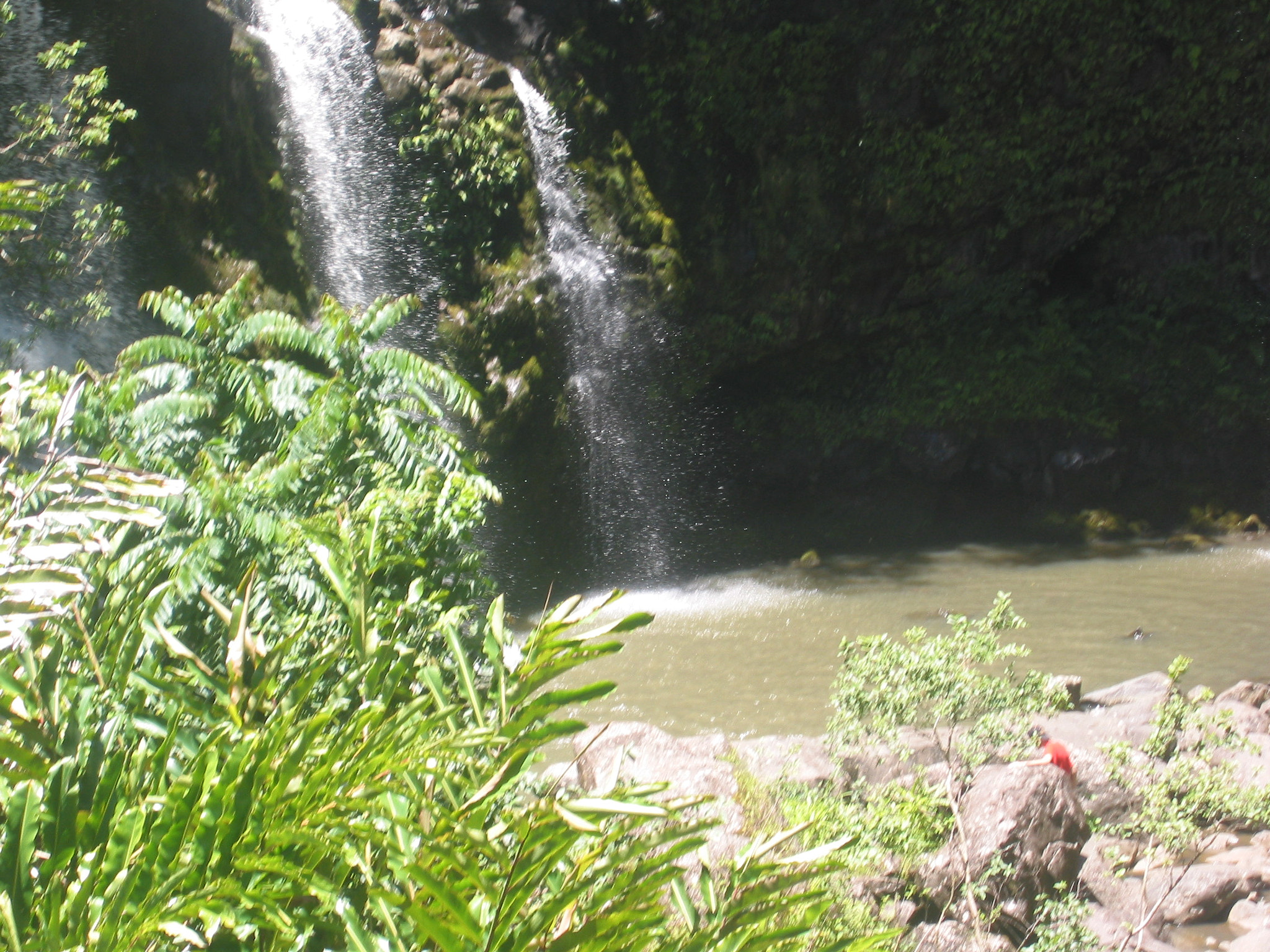 Canon POWERSHOT S40 sample photo. Maui - hawaii photography